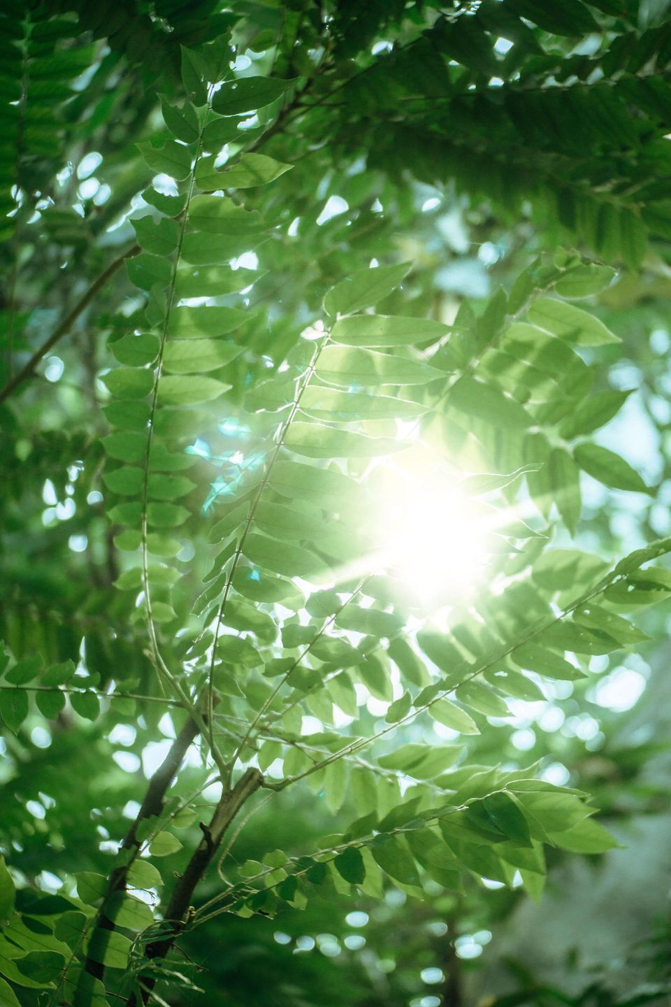 How Natural Light and Your Windows Can Affect Your Mood in Minneapolis MN