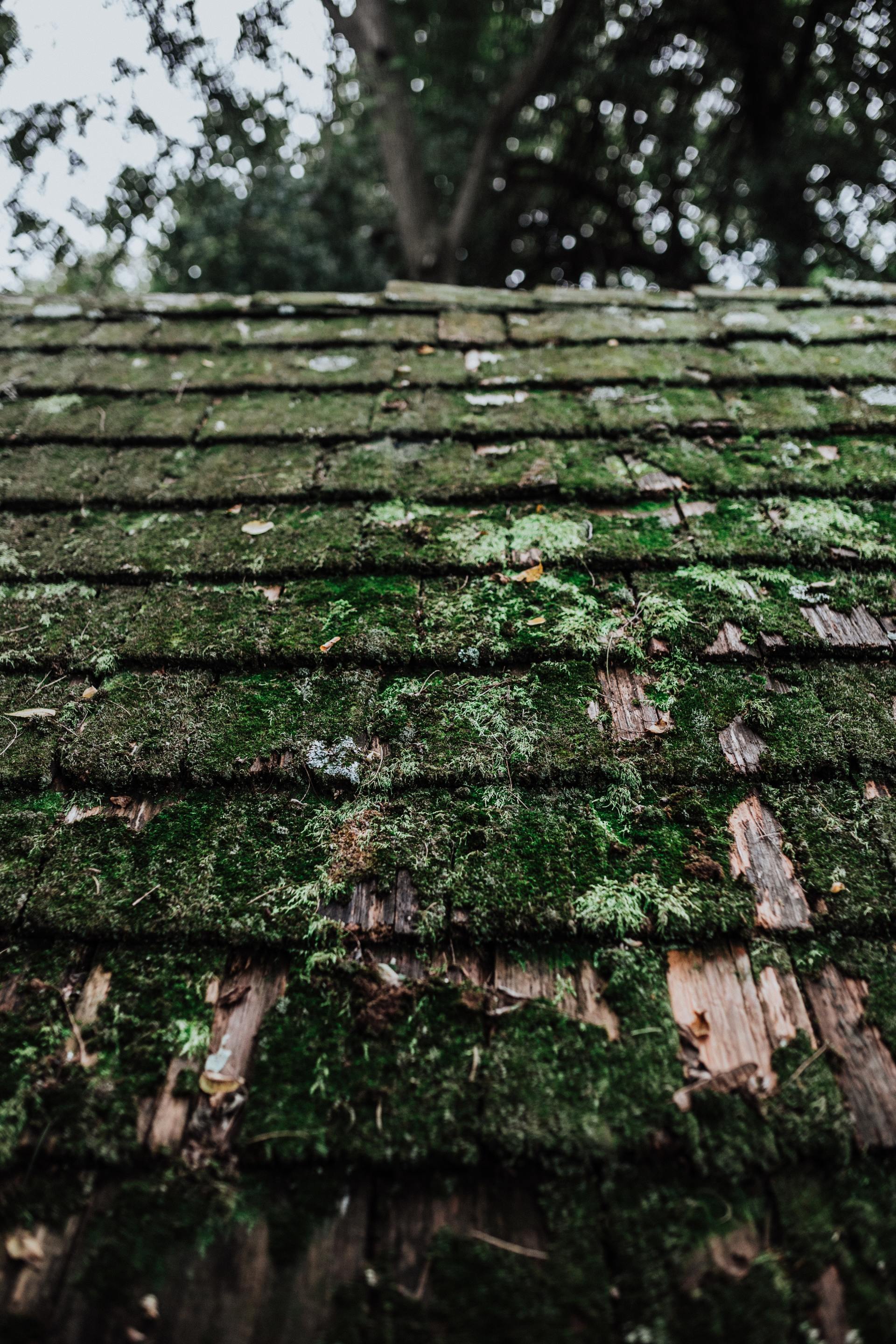 roof cleaning service telford