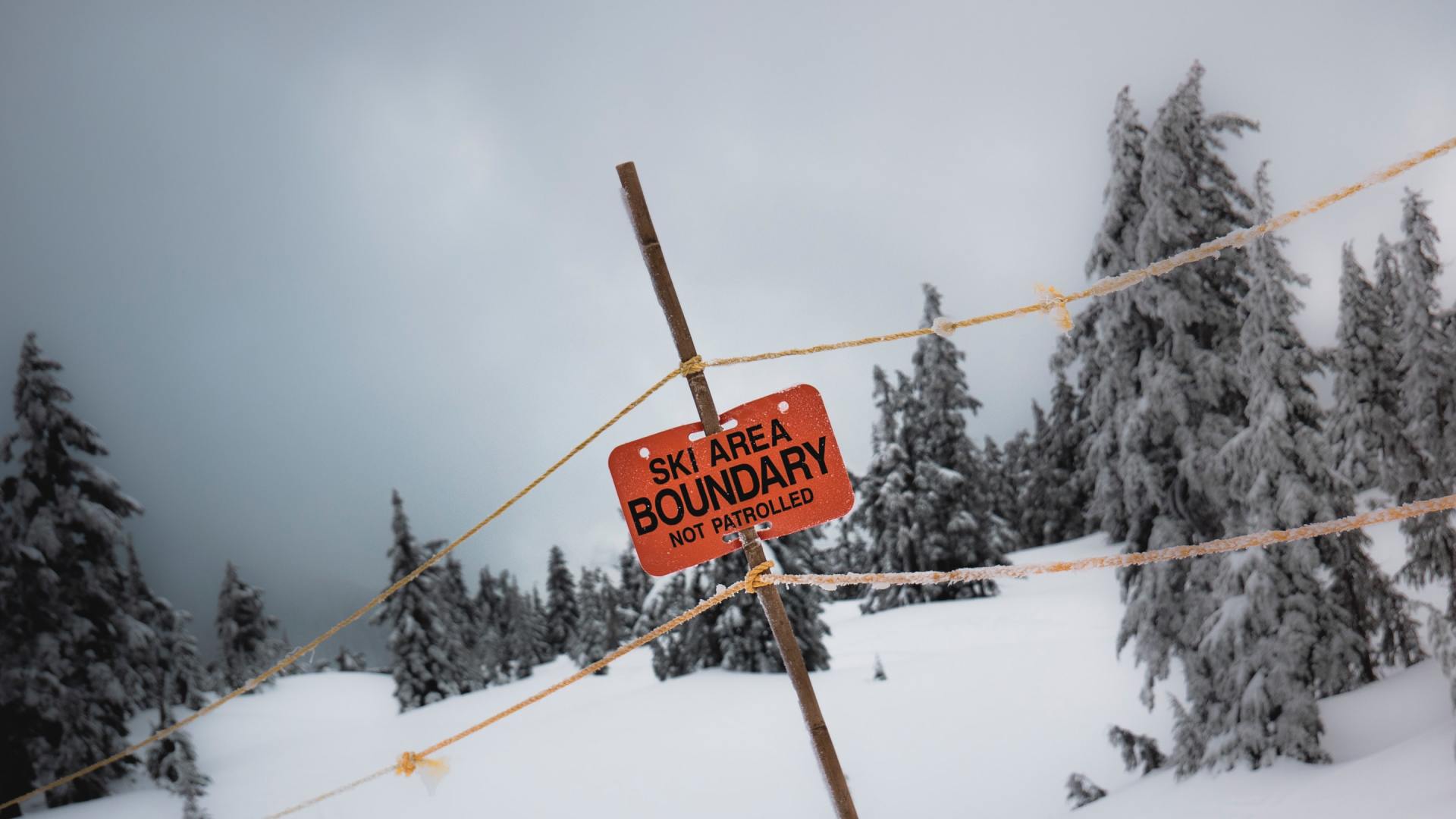 Freeride Meeting