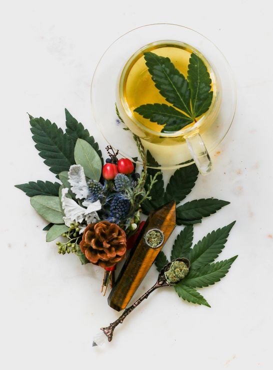 erbe aromatiche