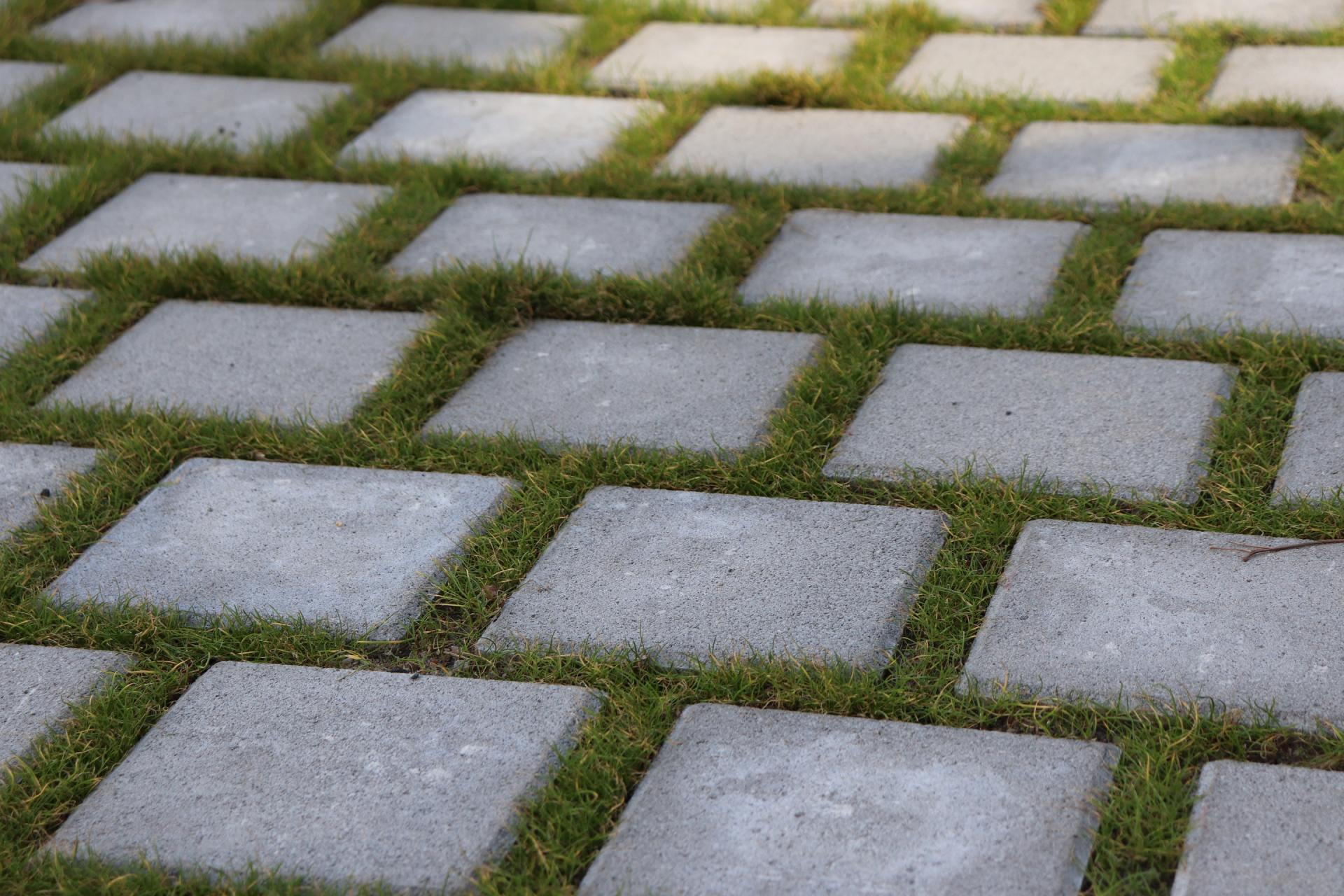 Slabs laid in a garden among the grass