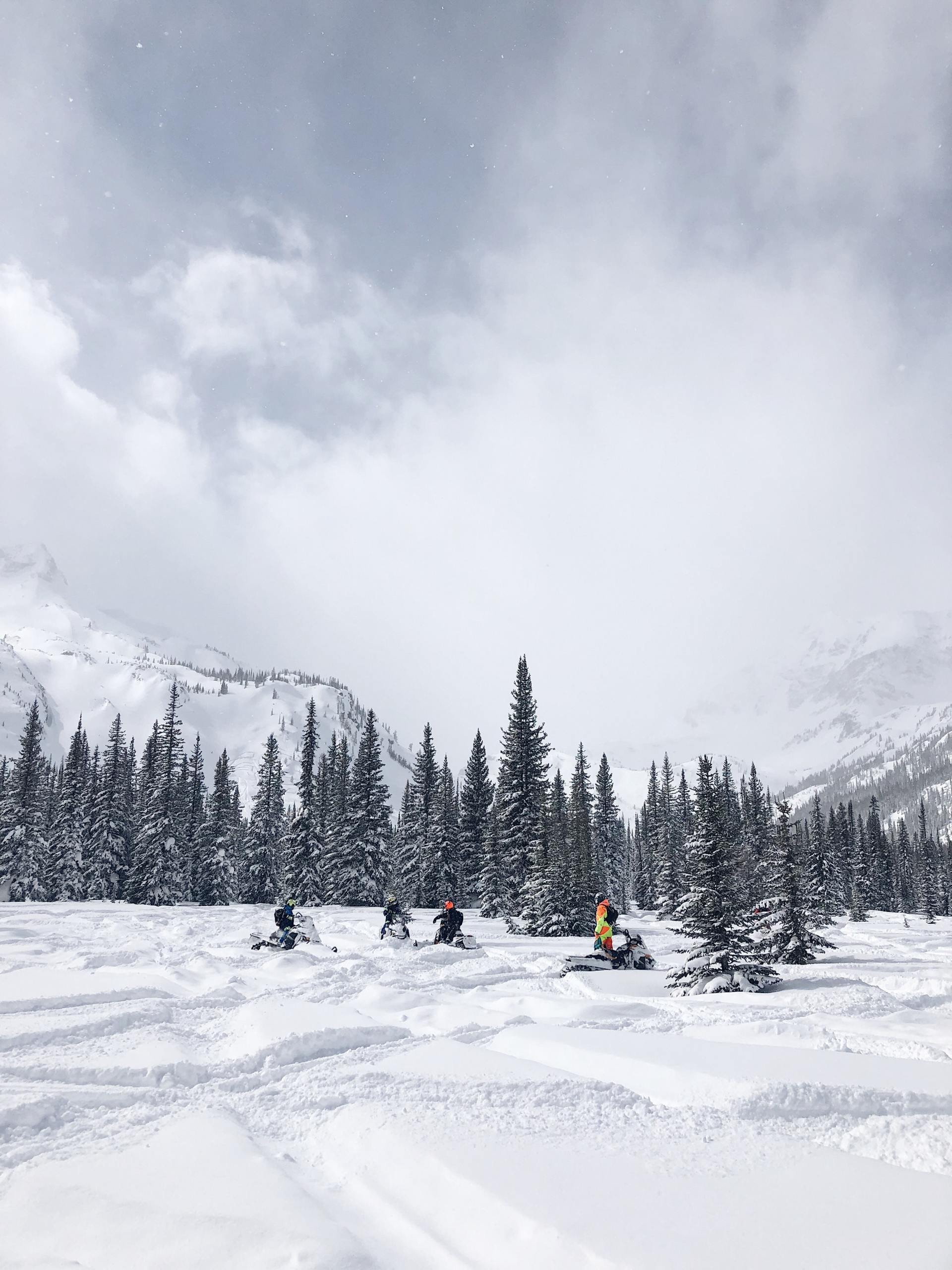 Snow Mobiles