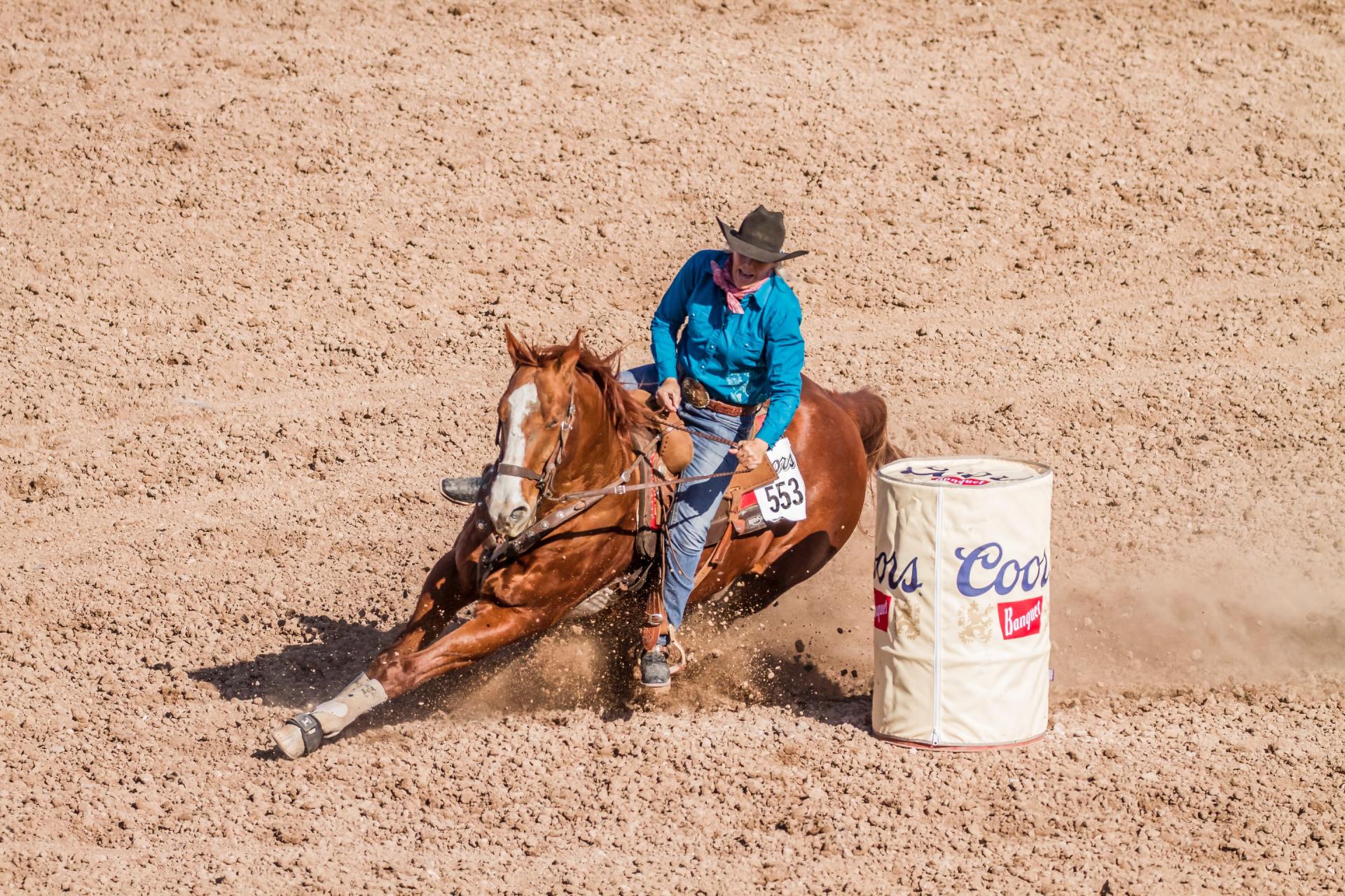 Mason County Roundup Weekend