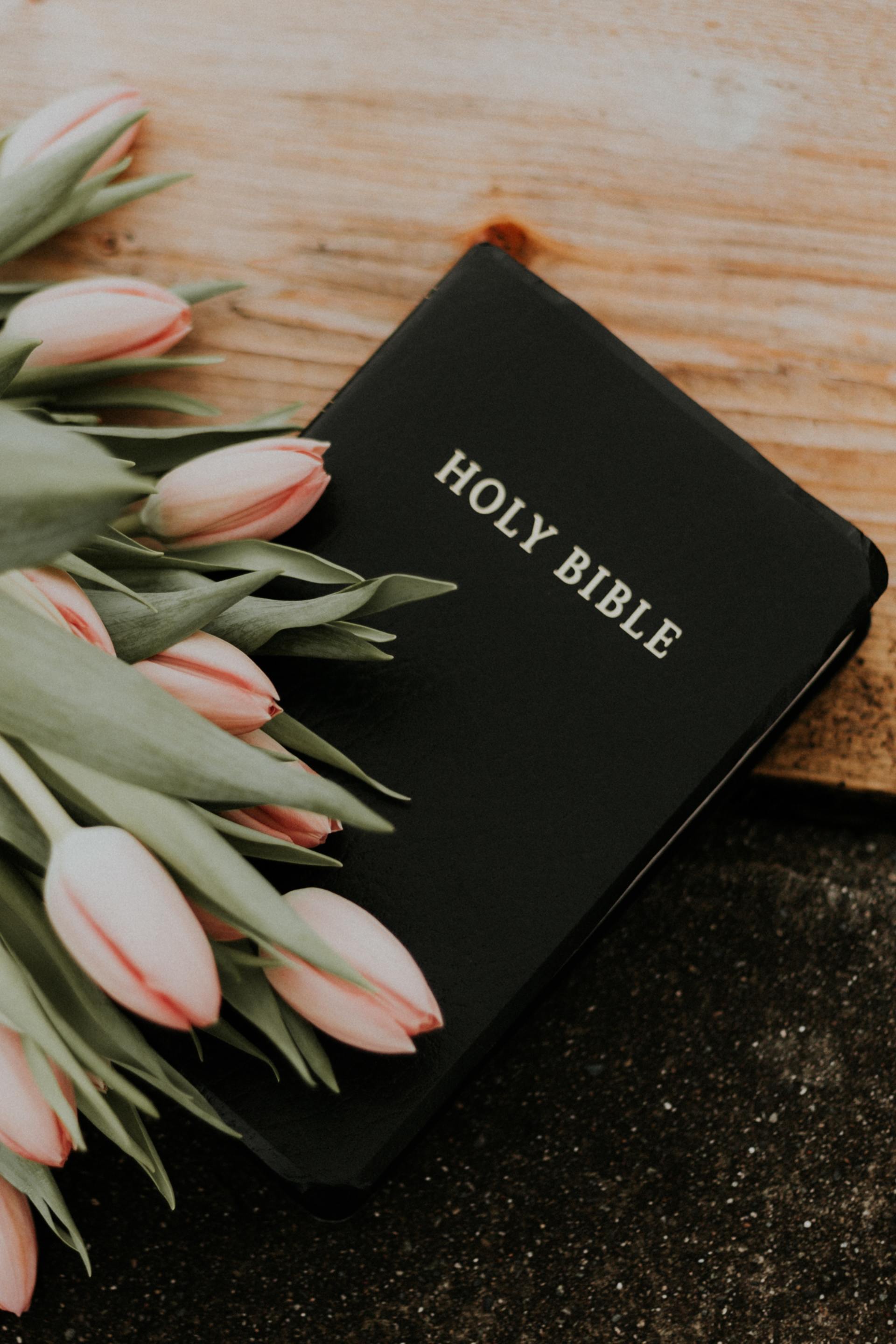 Our Beliefs - Bethany Baptist Church, Grand Rapids, Ohio