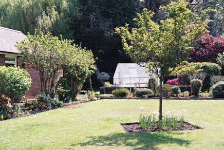 A lush green lawn with trees and bushes in front of a house