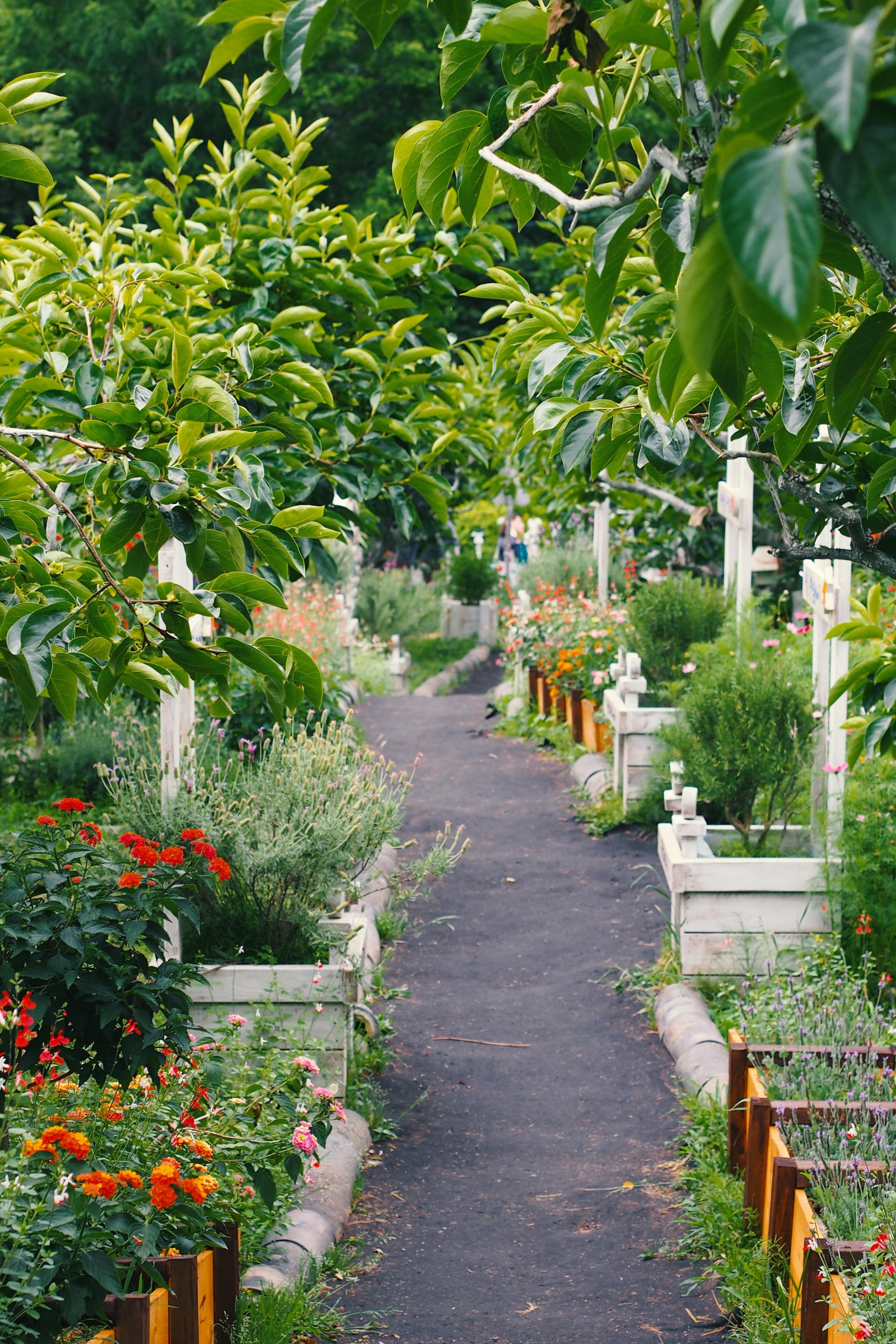 A path in a cemetery surrounded by trees and flowers
