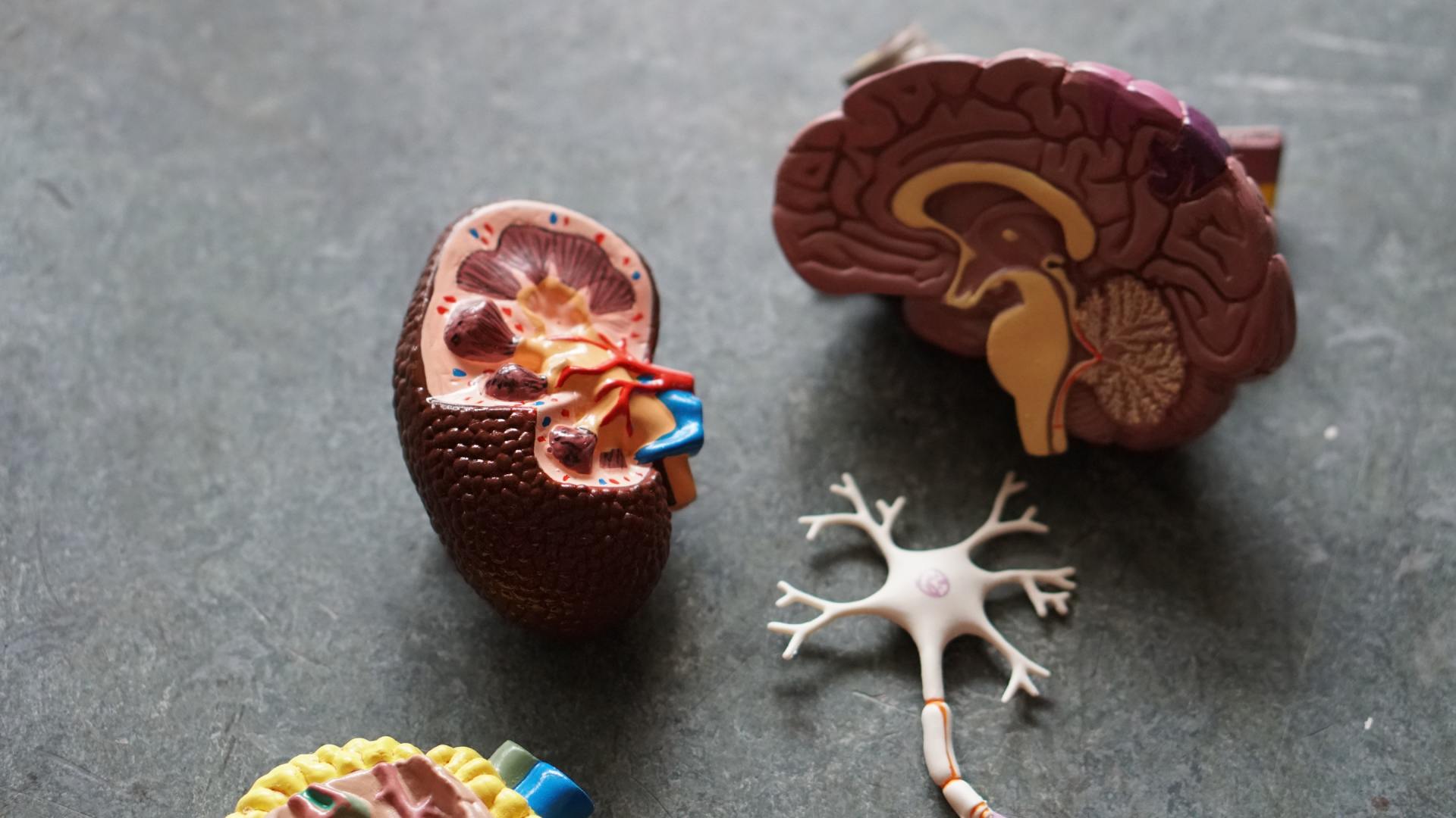 Clinica Neurologia