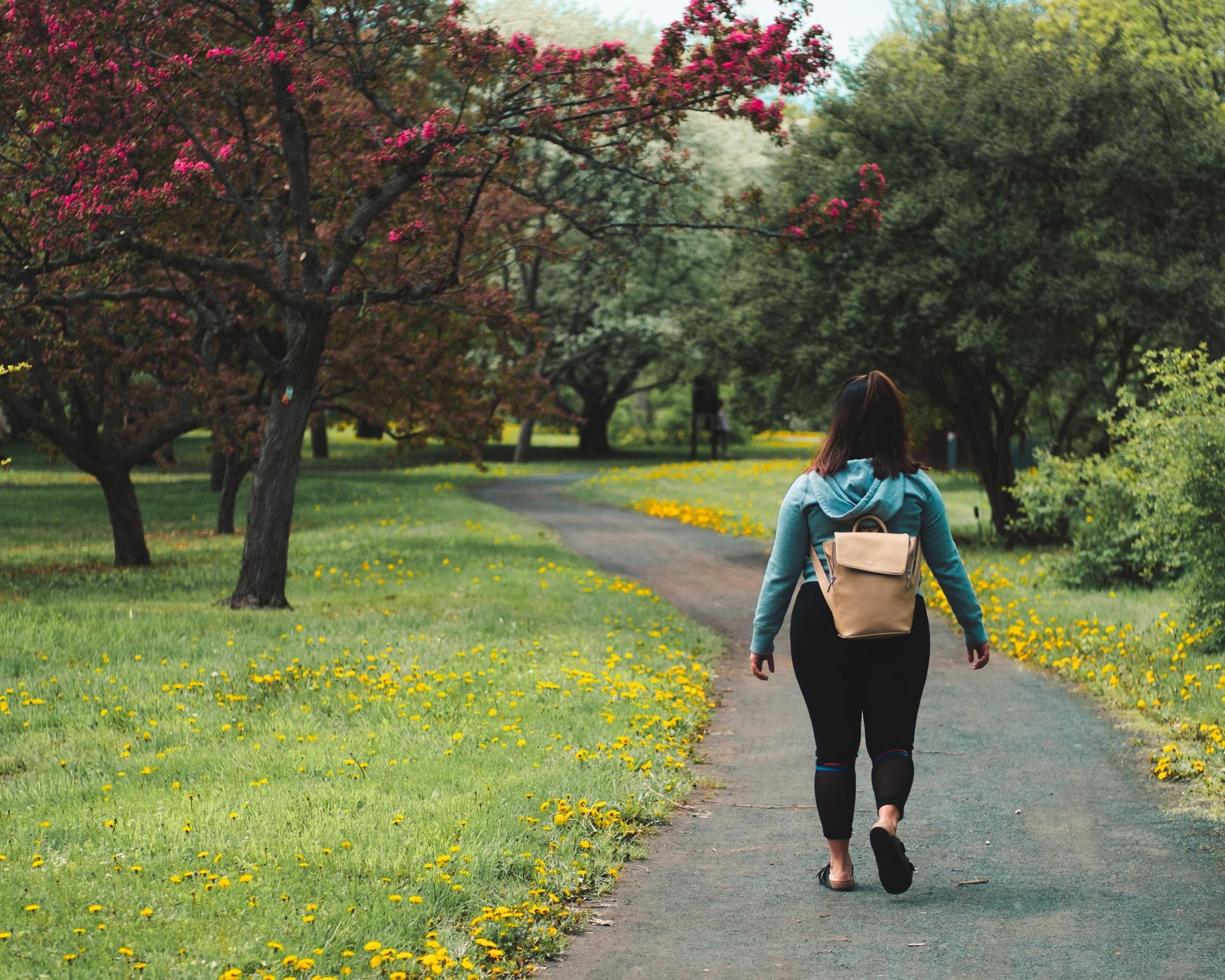 healthy-weight-management-walking