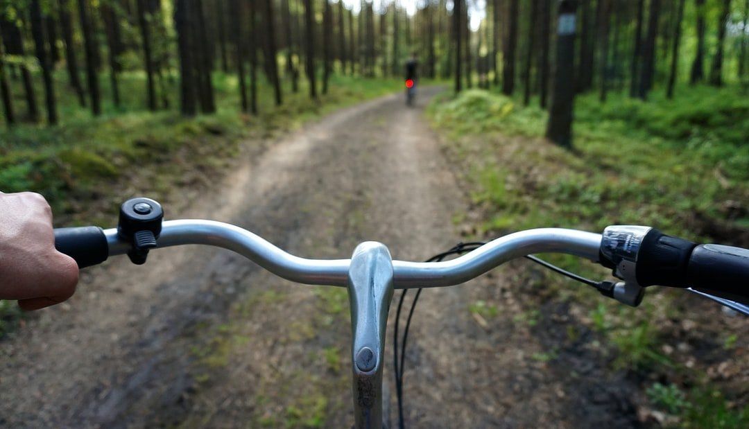 A person is riding a bike down a dirt road in the woods.