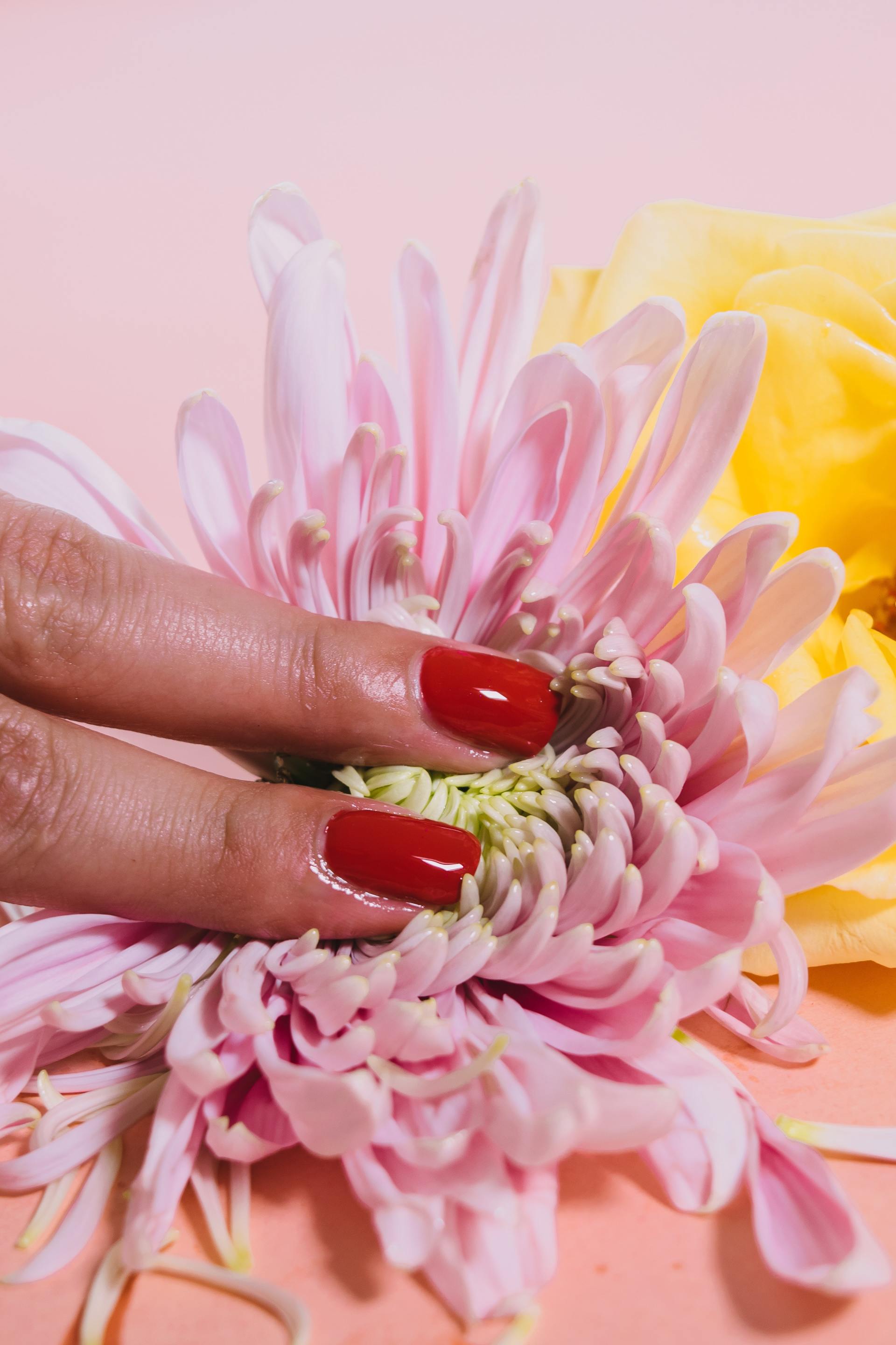 Bella Nail Lounge