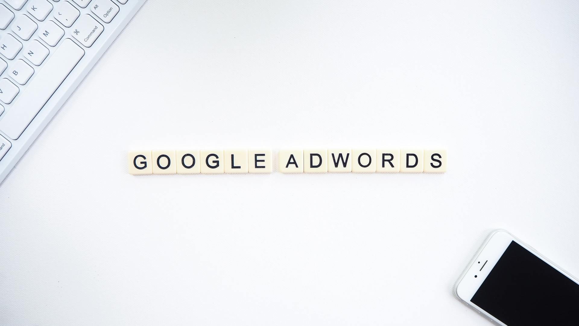 SEO vs PPC: How Paid and Organic Best Work Together