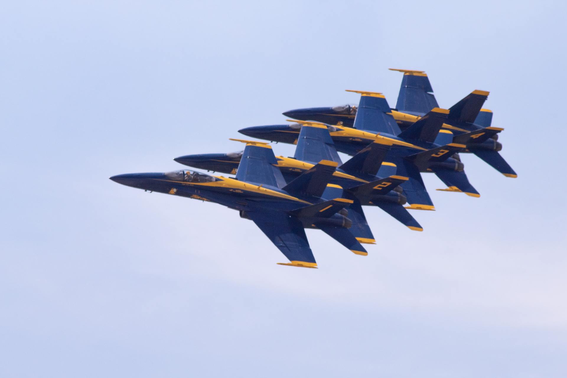 Blues Buzzing the Beaches in Orange Beach