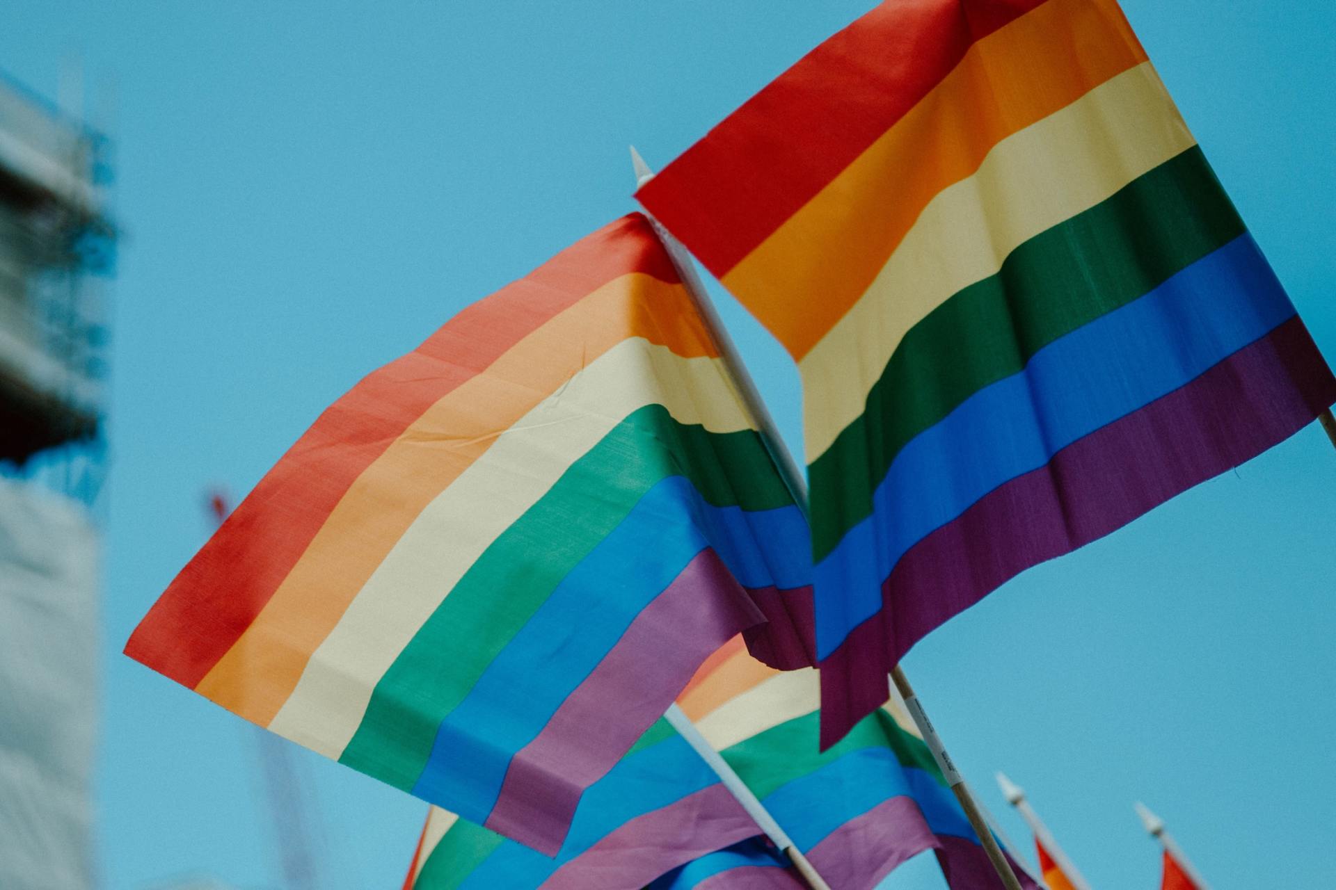 Three rainbow flags are waving in the wind against a blue sky.
