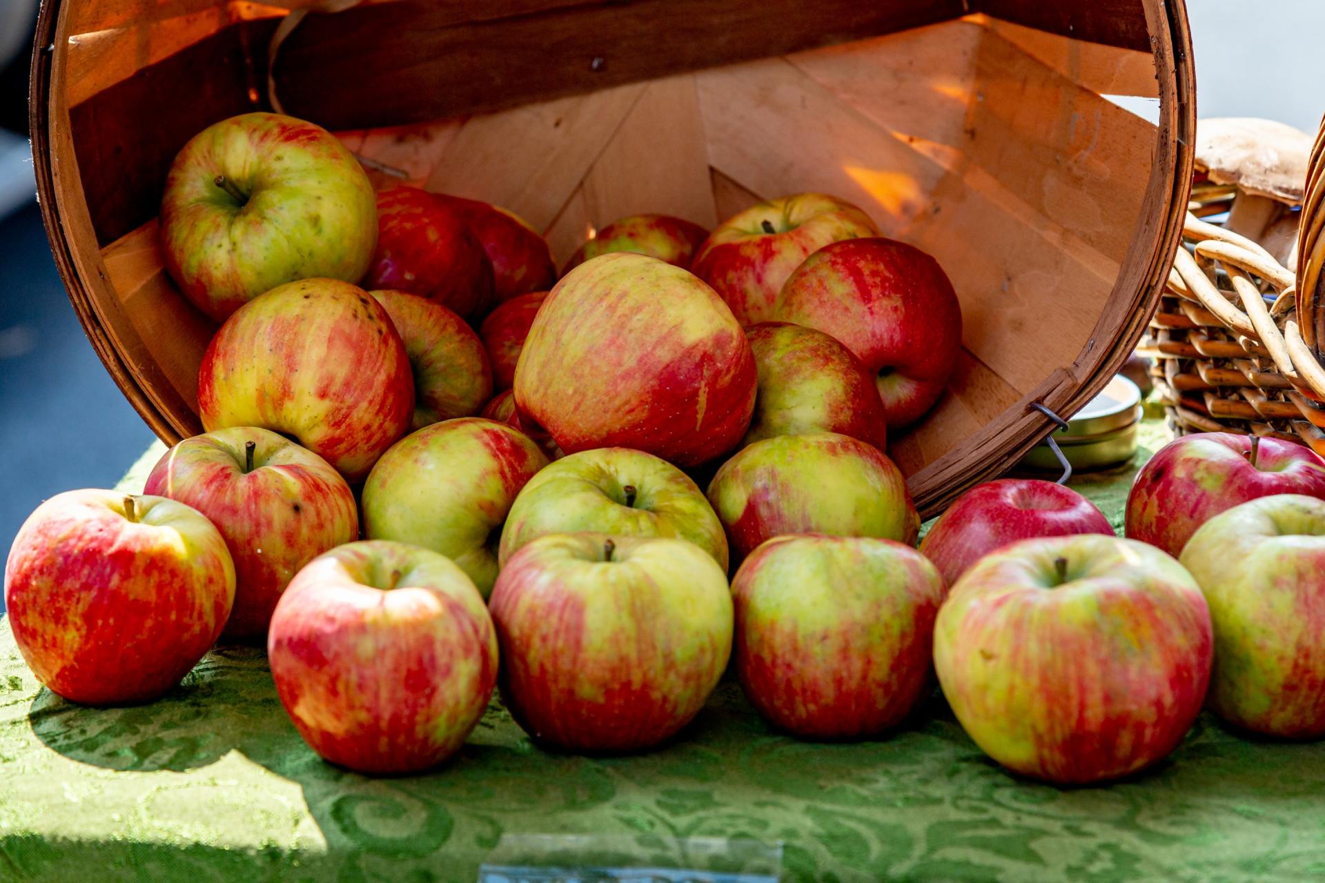 Apple Chip Recipe