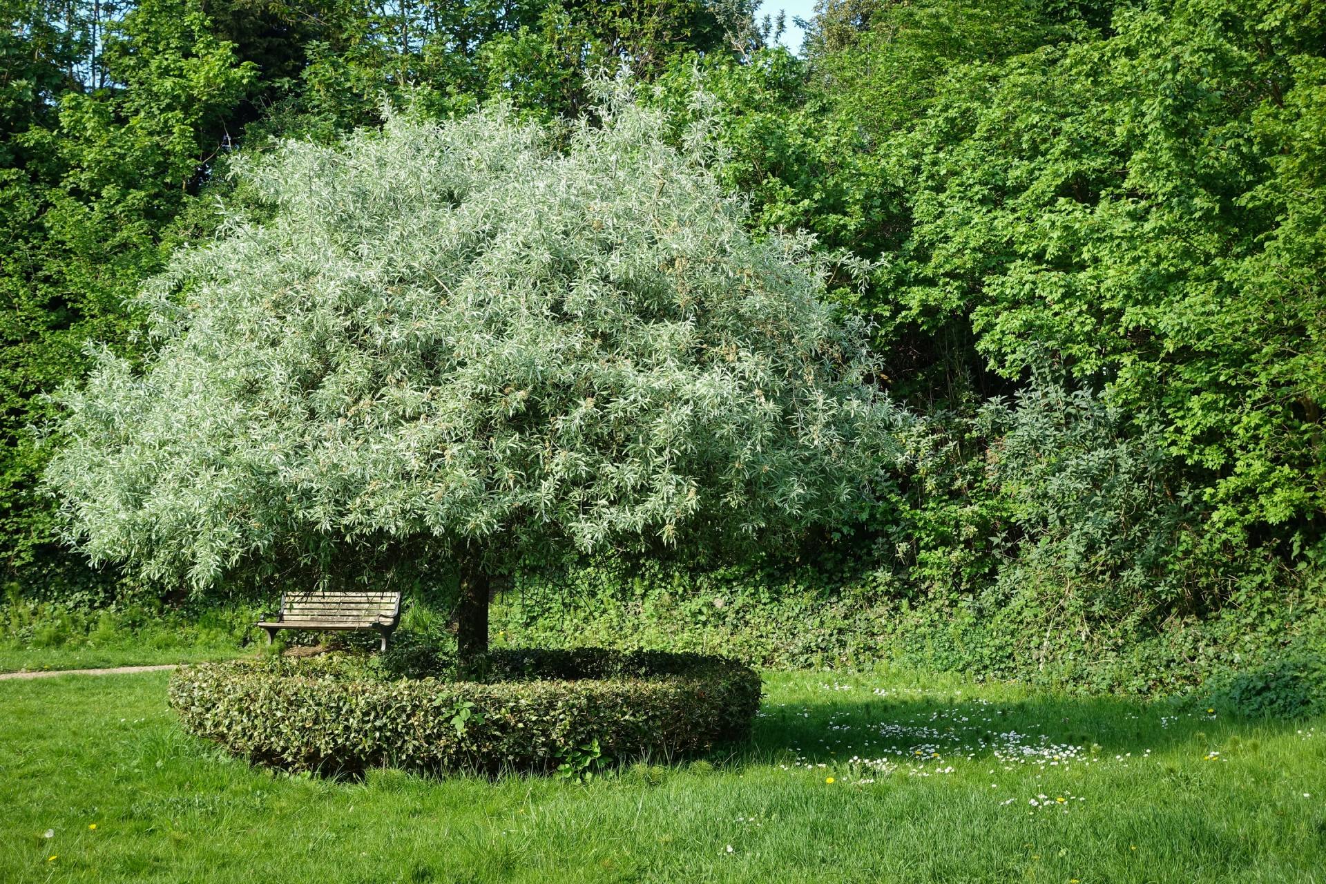 Jim Long Landshapers - Landscaping