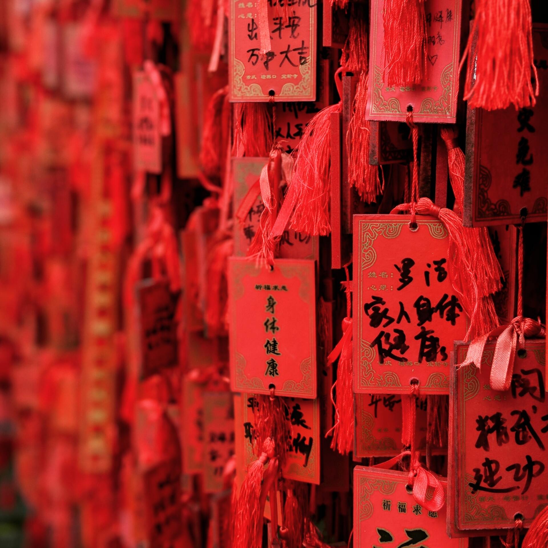 Red Packets Chinese New Year