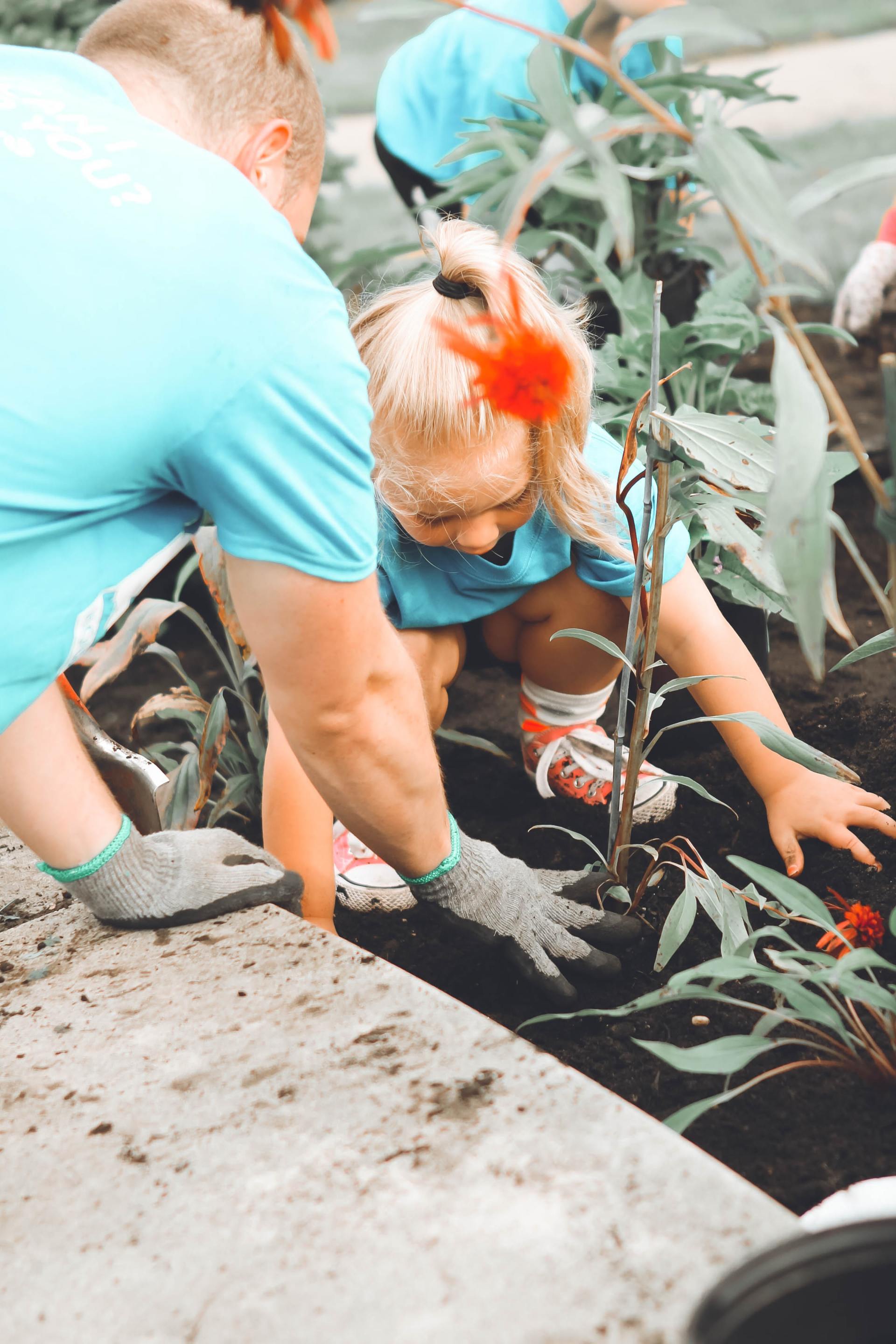 Woman and child planting flowers in garden bed, wearing gloves and blue shirts.