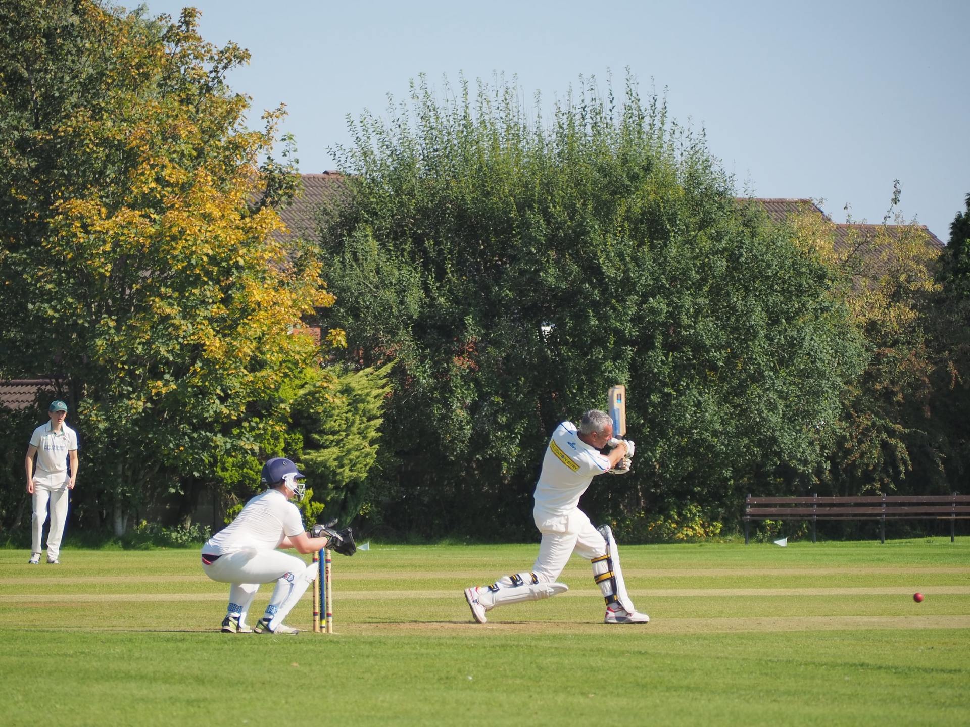Cricketers enjoying a game