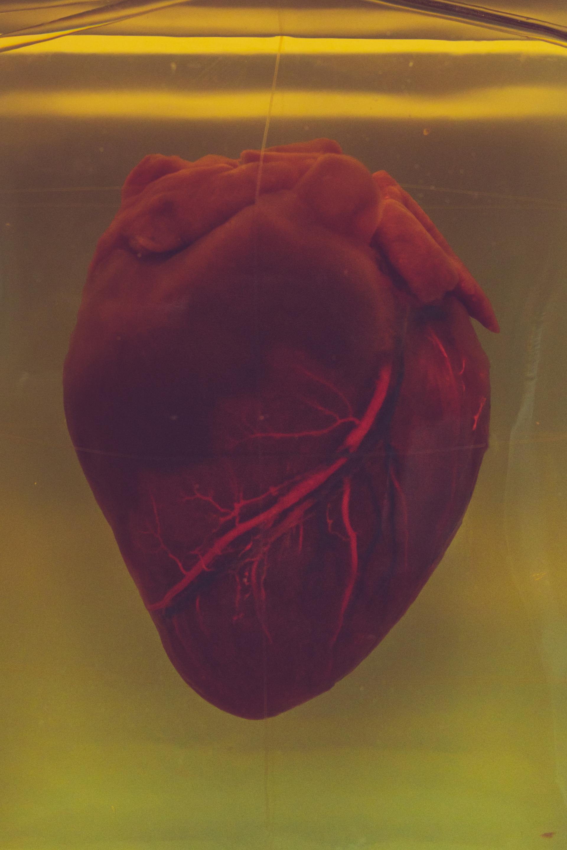Real Heart