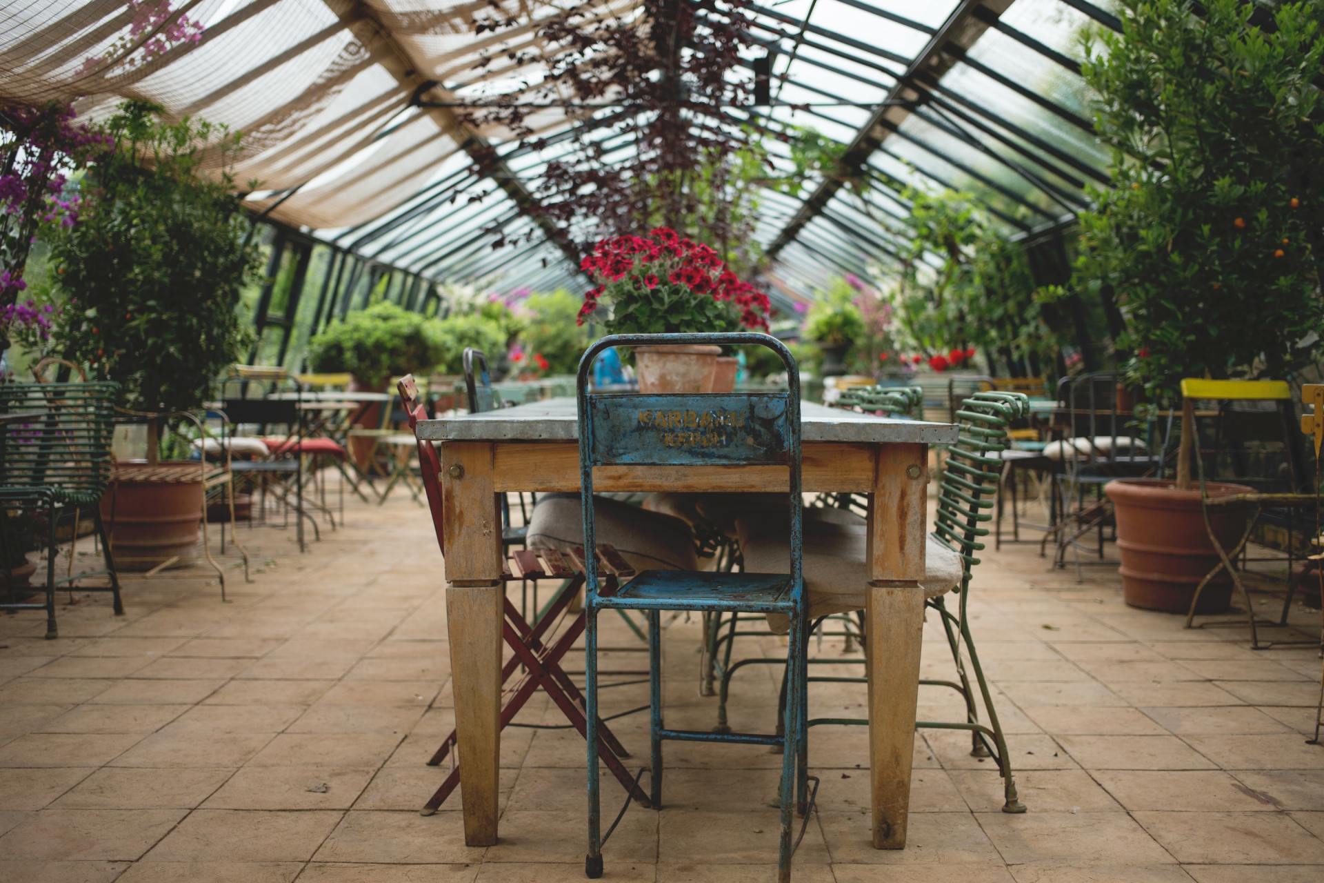A table and chairs are sitting in a greenhouse.