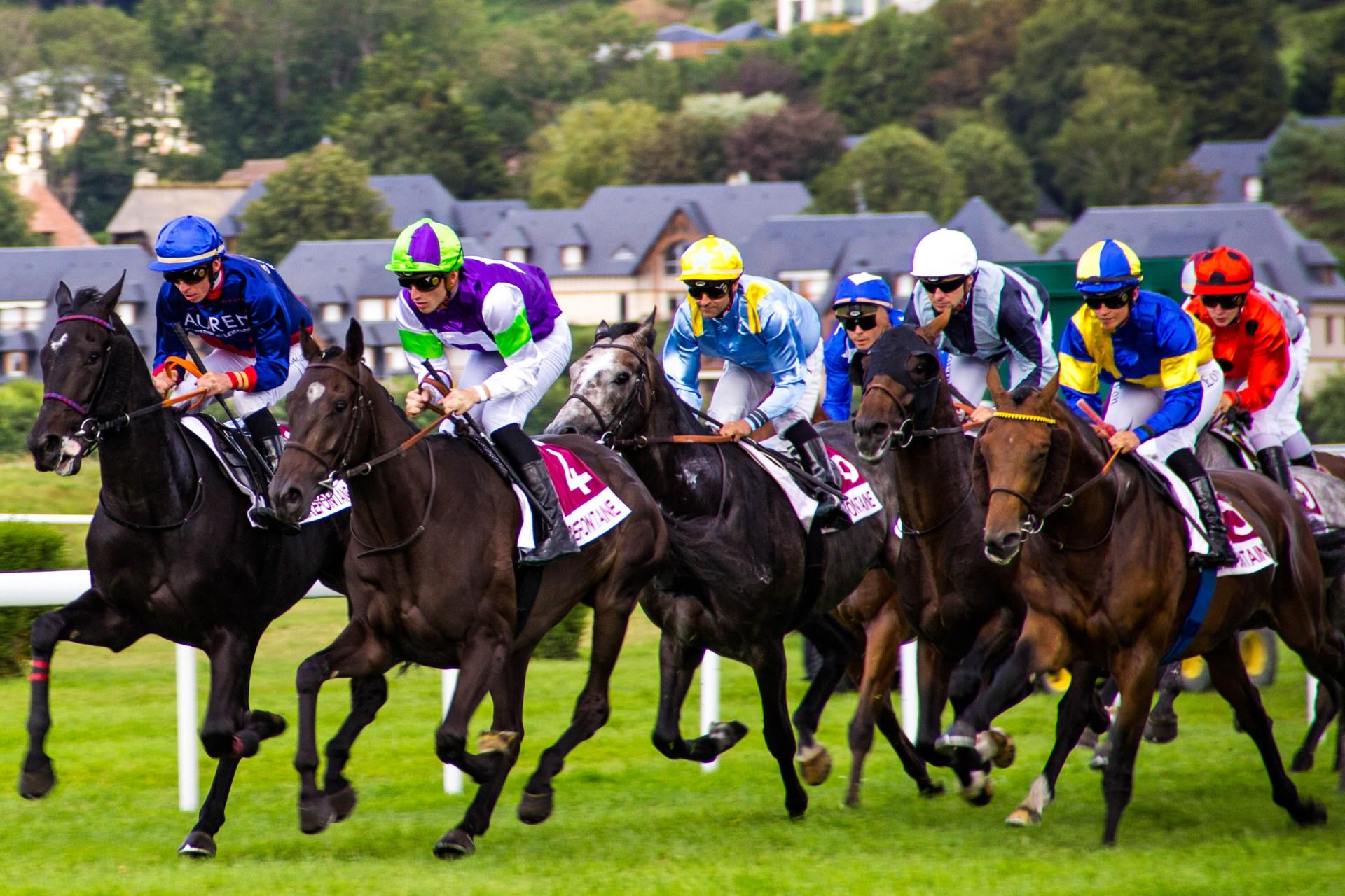 The benefits of natural turf for horse racecourses