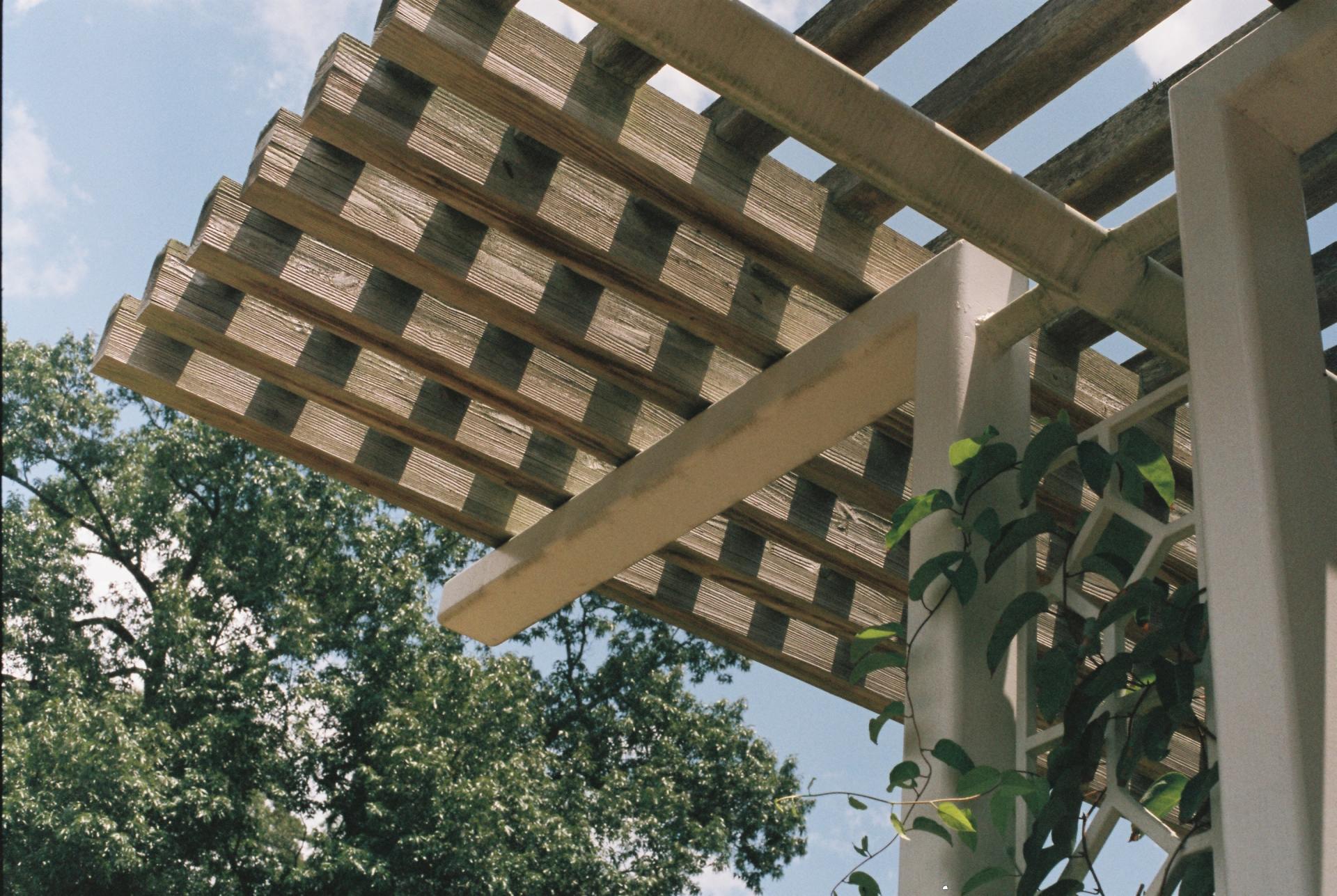 A wooden pergola with trees in the background