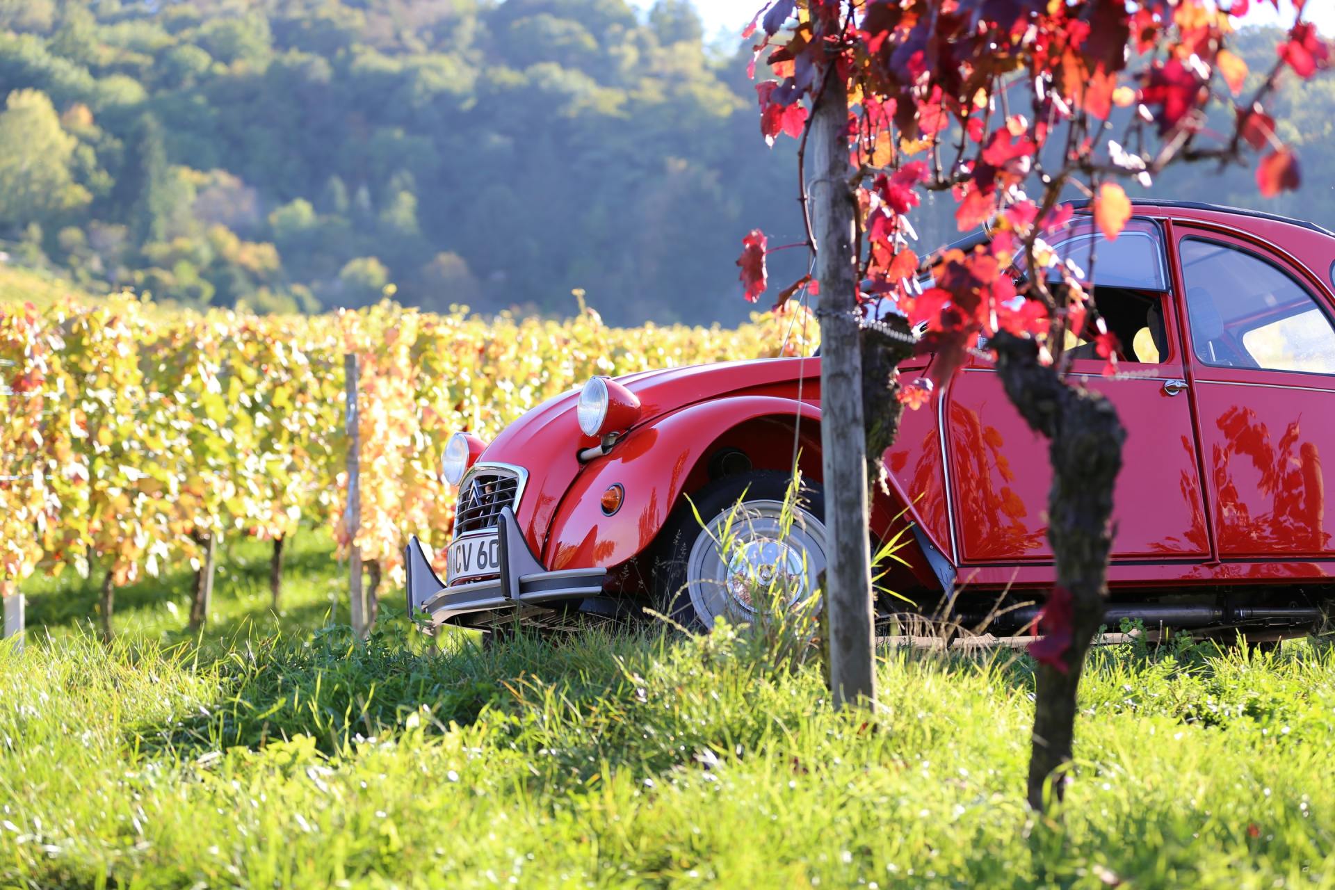 red citroen 2cv