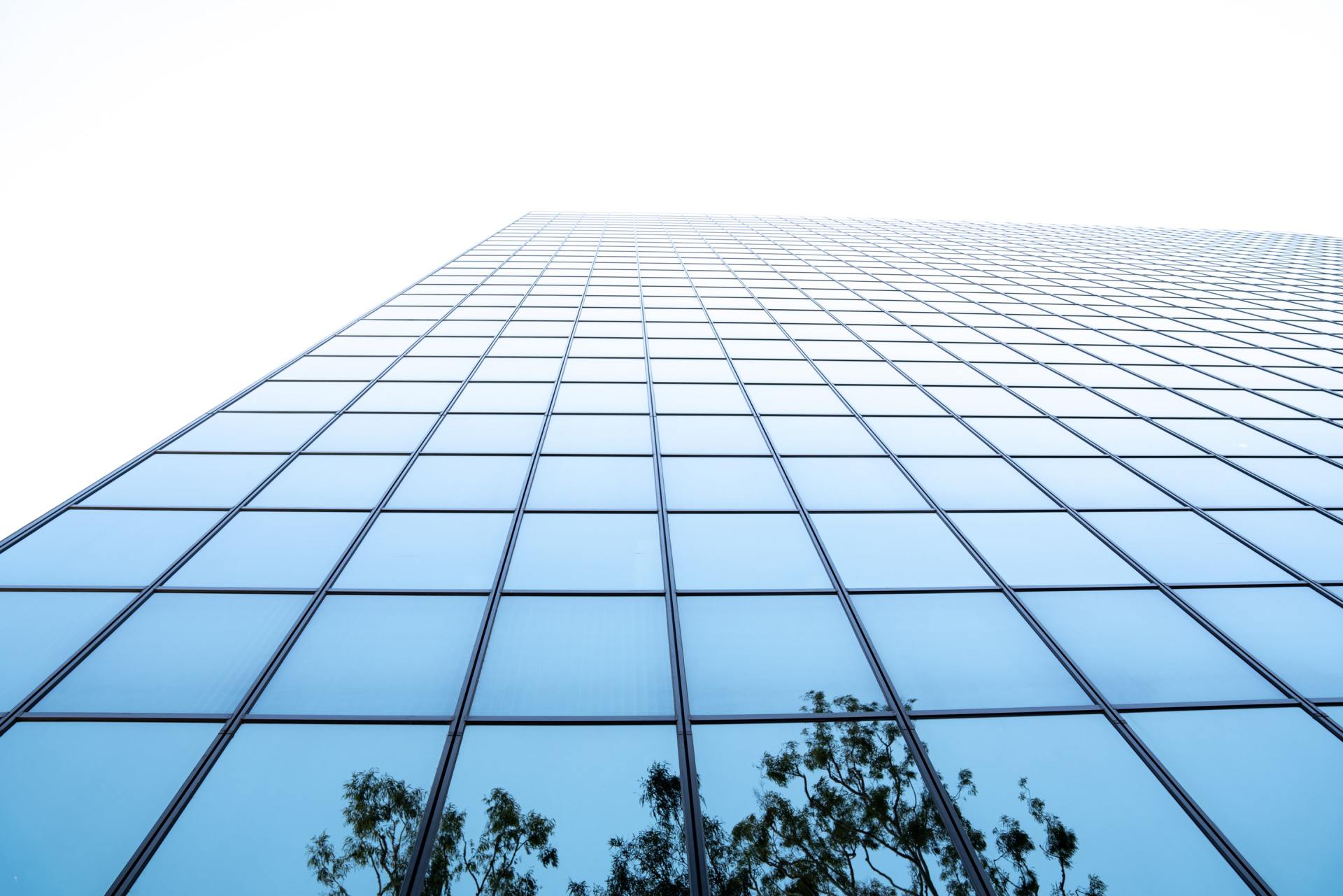 Neutral Window Films