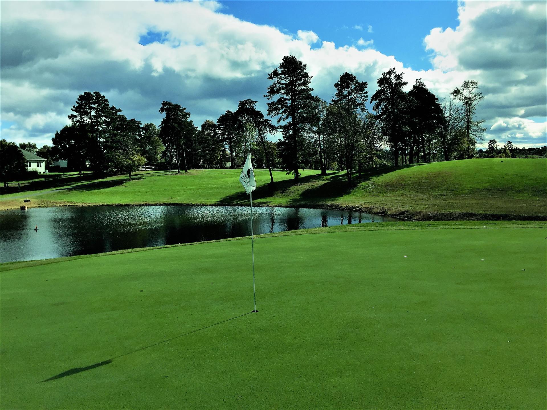 Golf course green