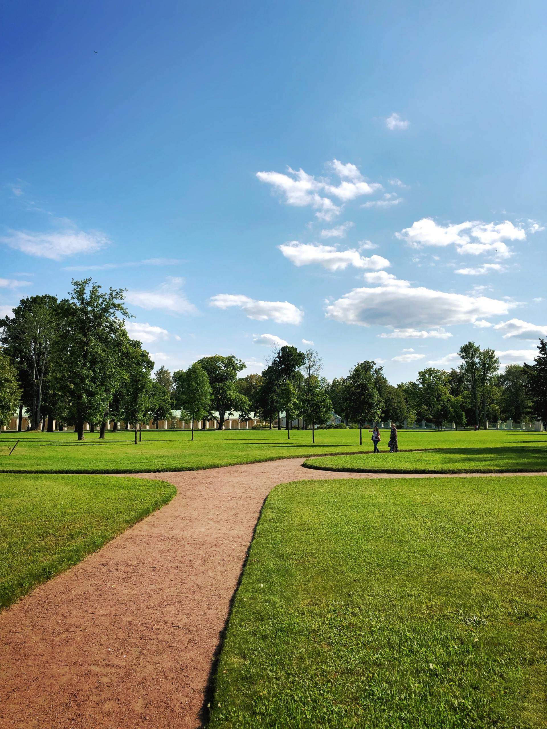 Attract People to Your Mid-Missouri Business With Outdoor Scenery! Atkins Does Commercial Lawn Care.