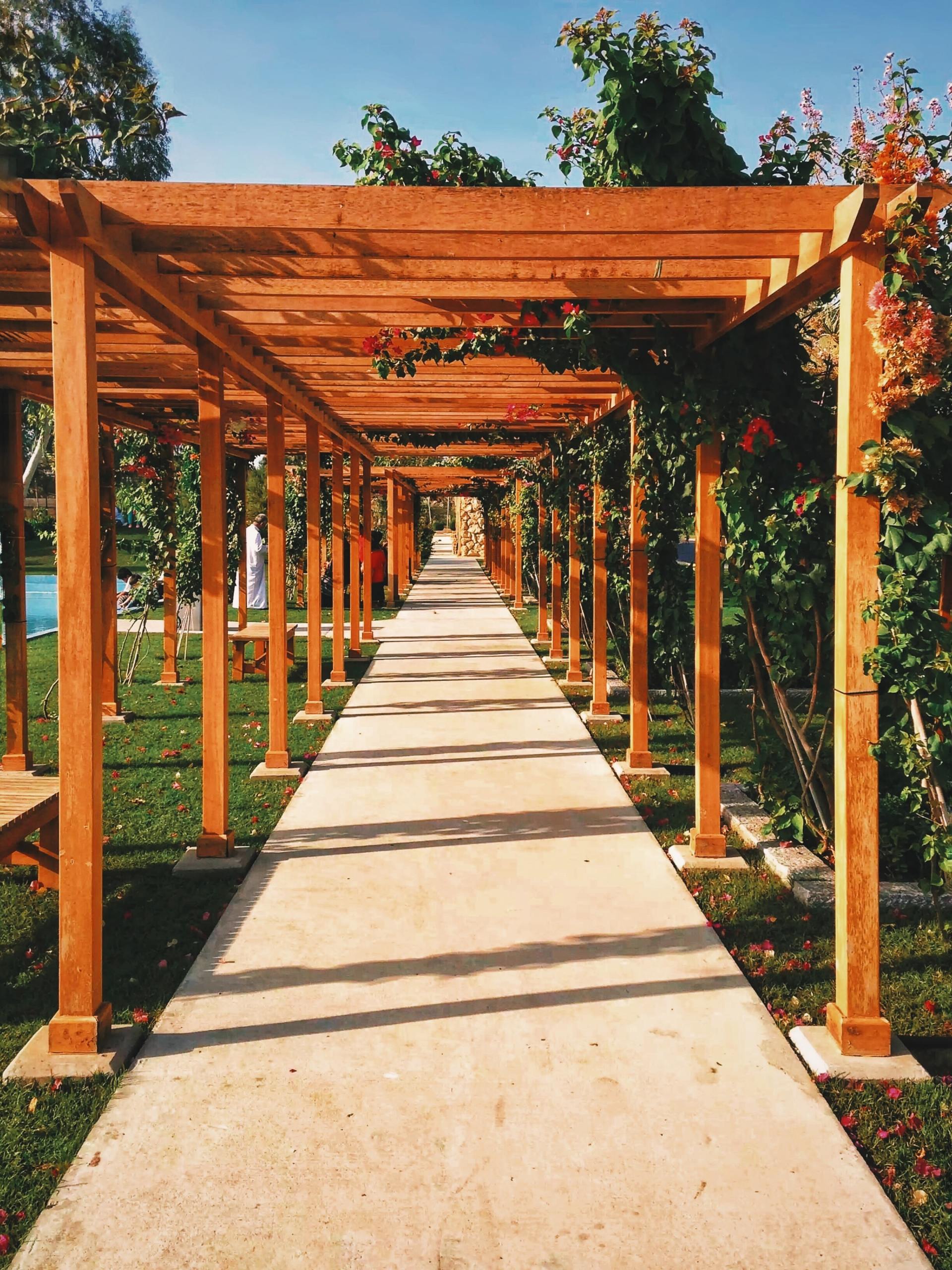 A long pergola above a paved pathway
