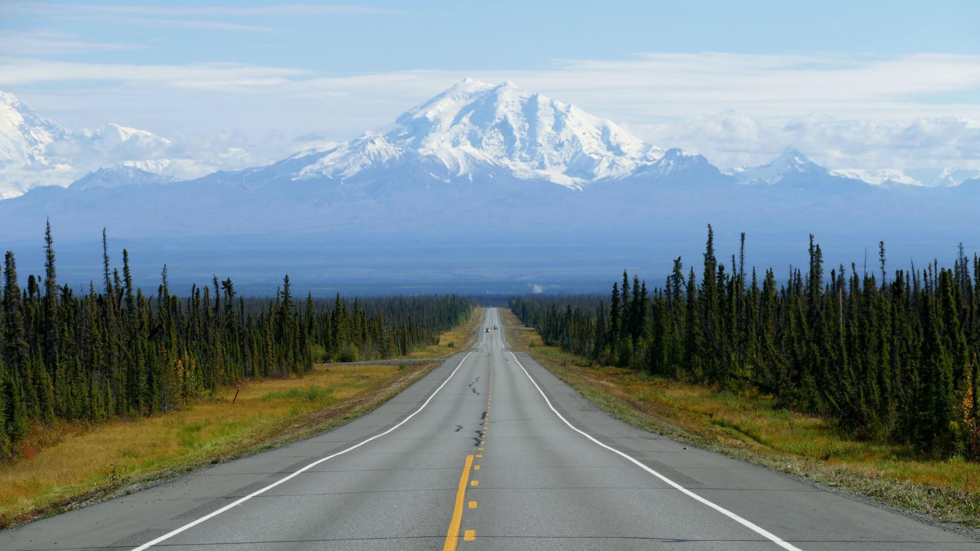 Road stretching toward snow-capped mountains; flanked by trees; bright sky.