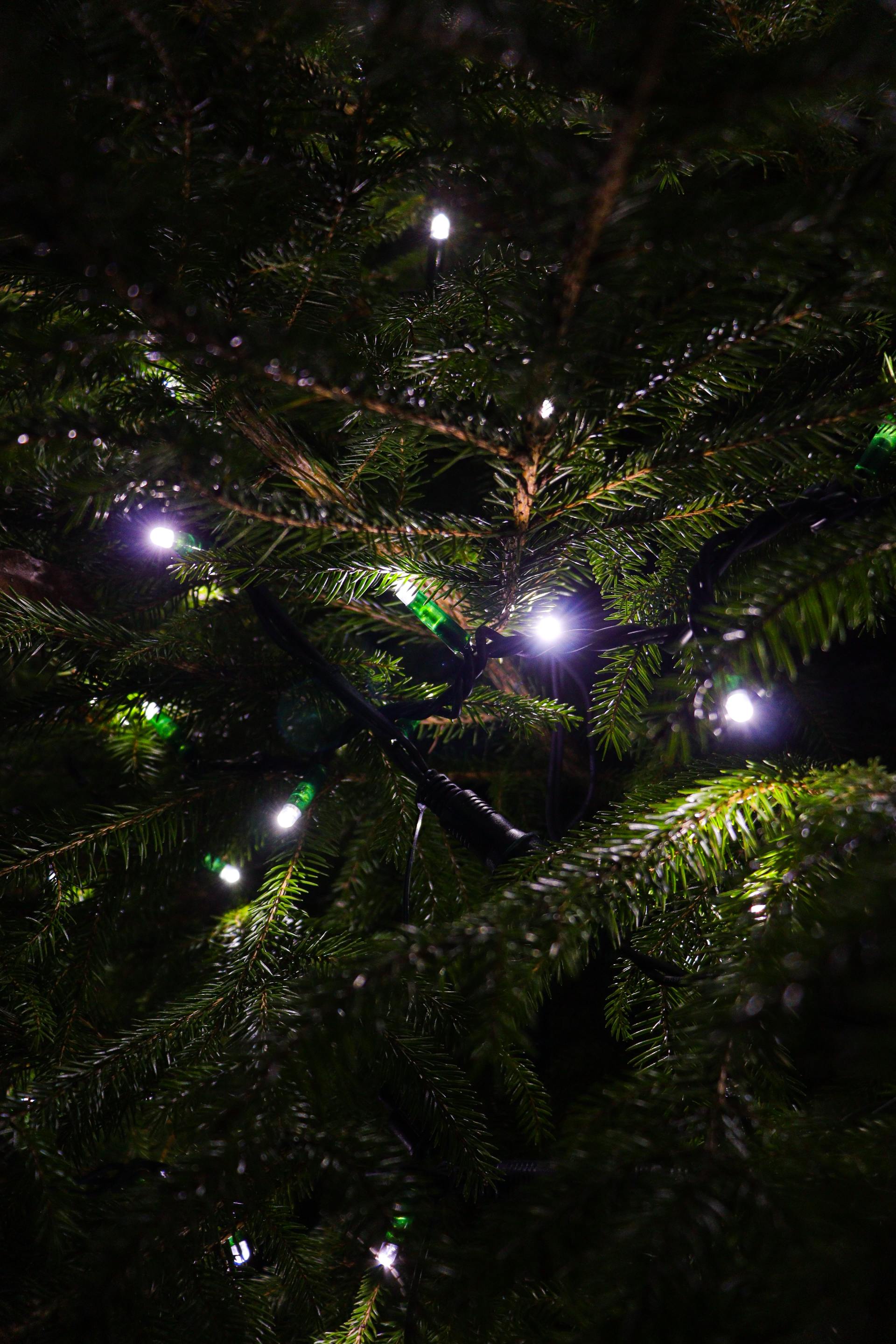 A close up of a christmas tree with lights on it at night.