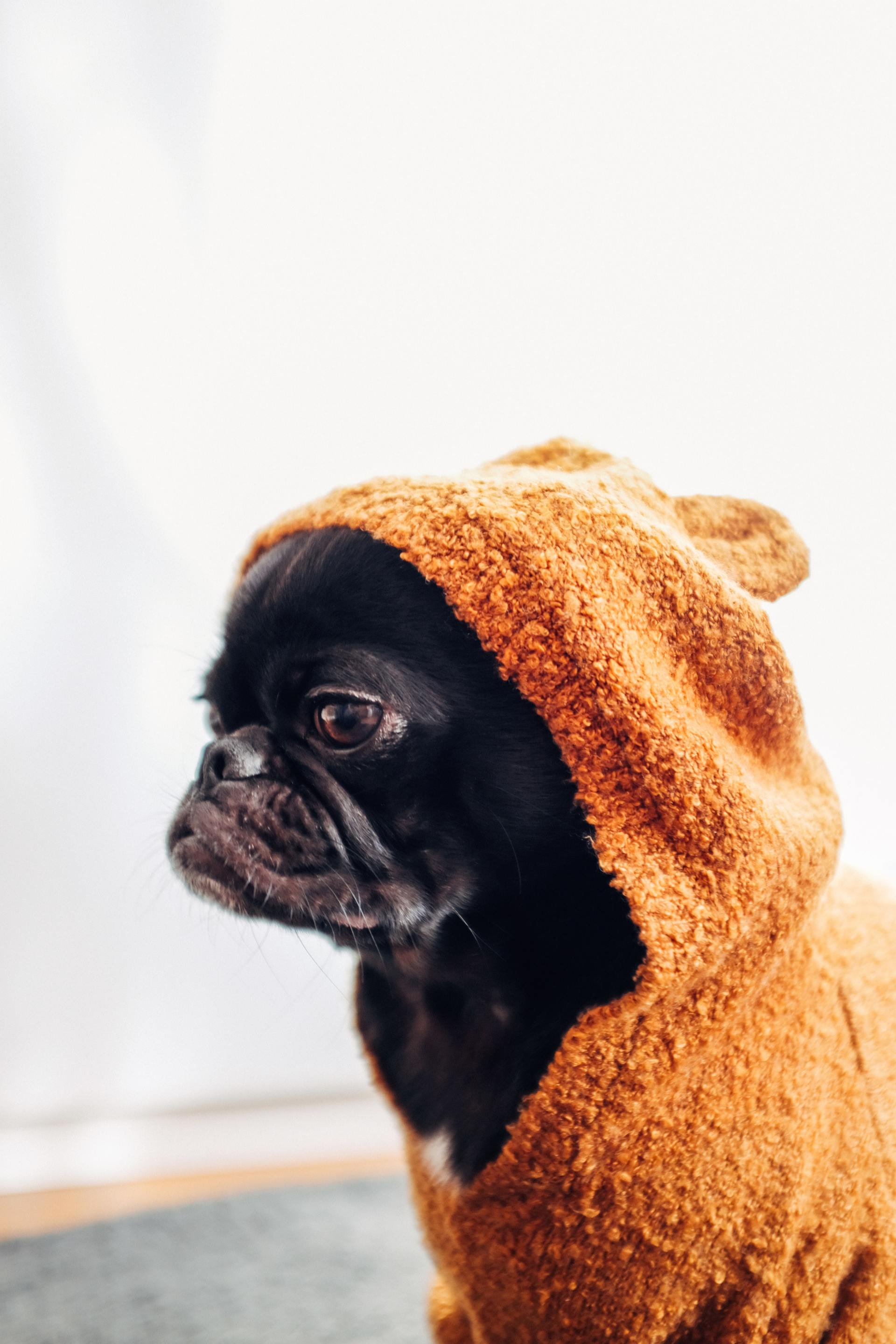 Grooming Services