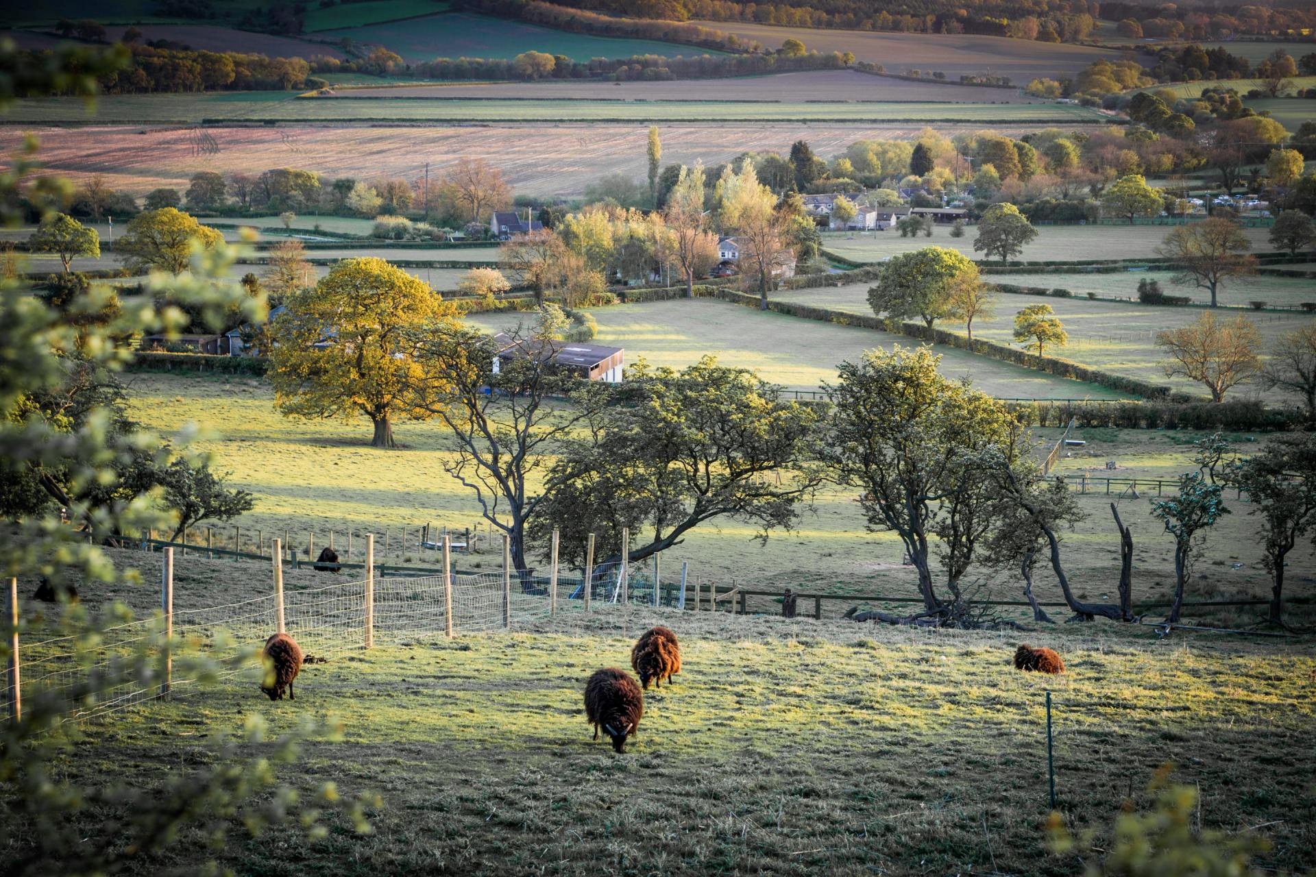 UK & Ireland Tours