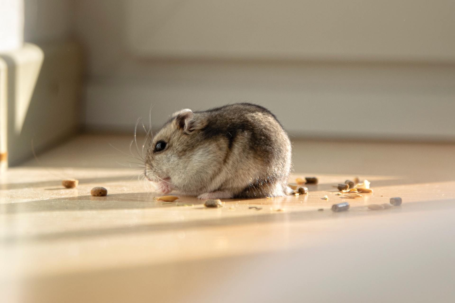 Common Springtime Pests