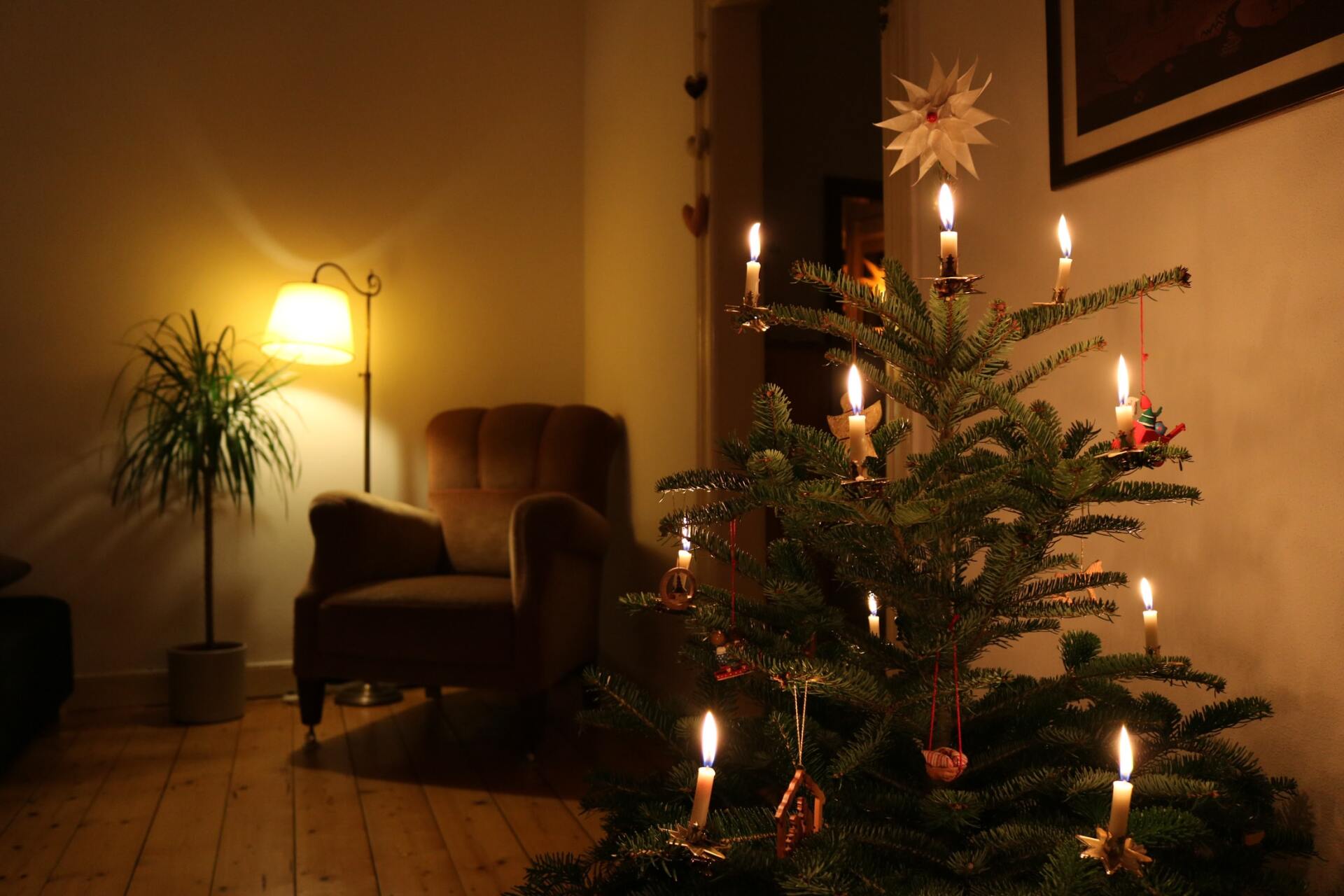Christmas Flooring Ideas