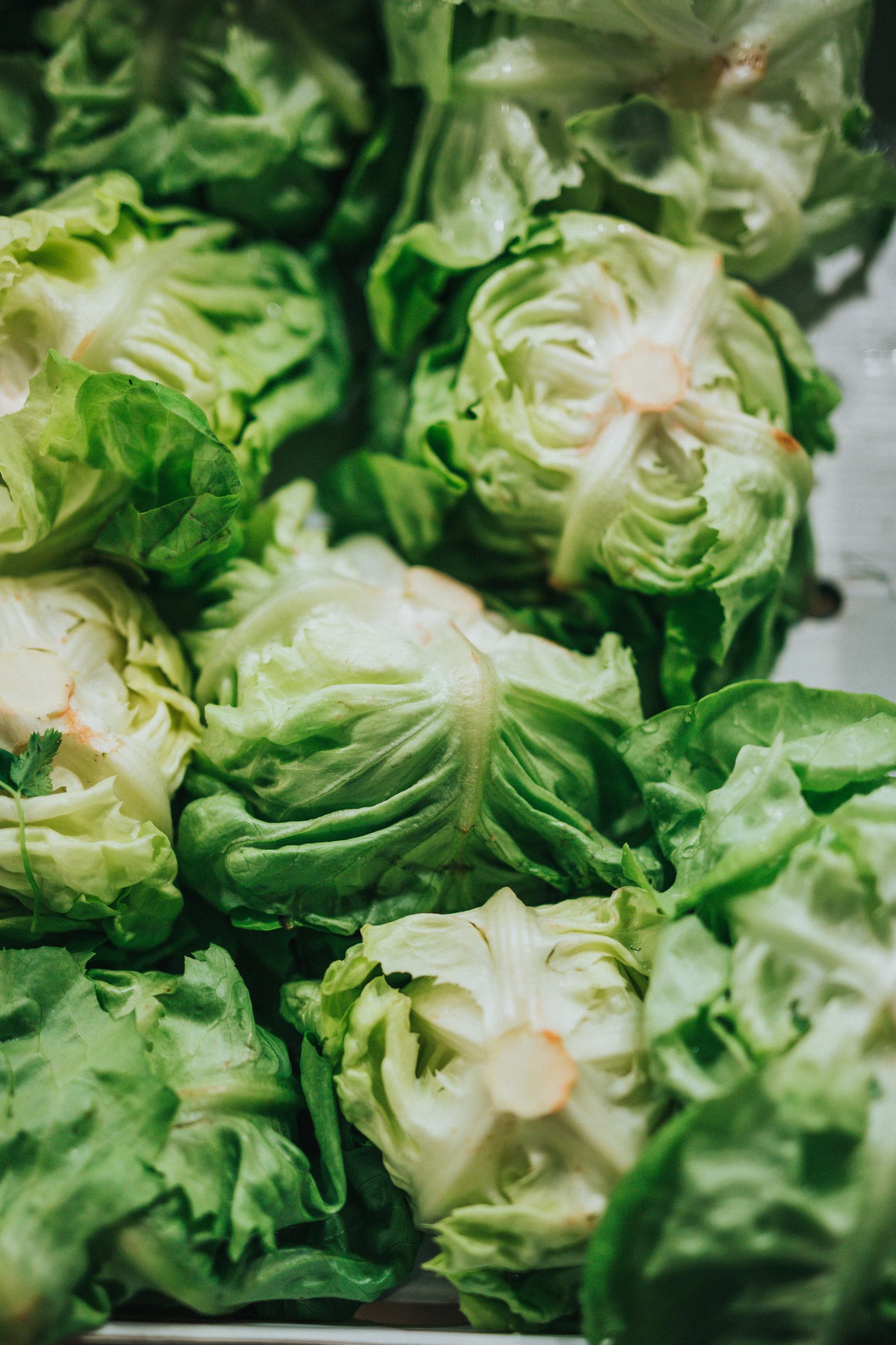 Low FODMAP Diet: Lettuce
