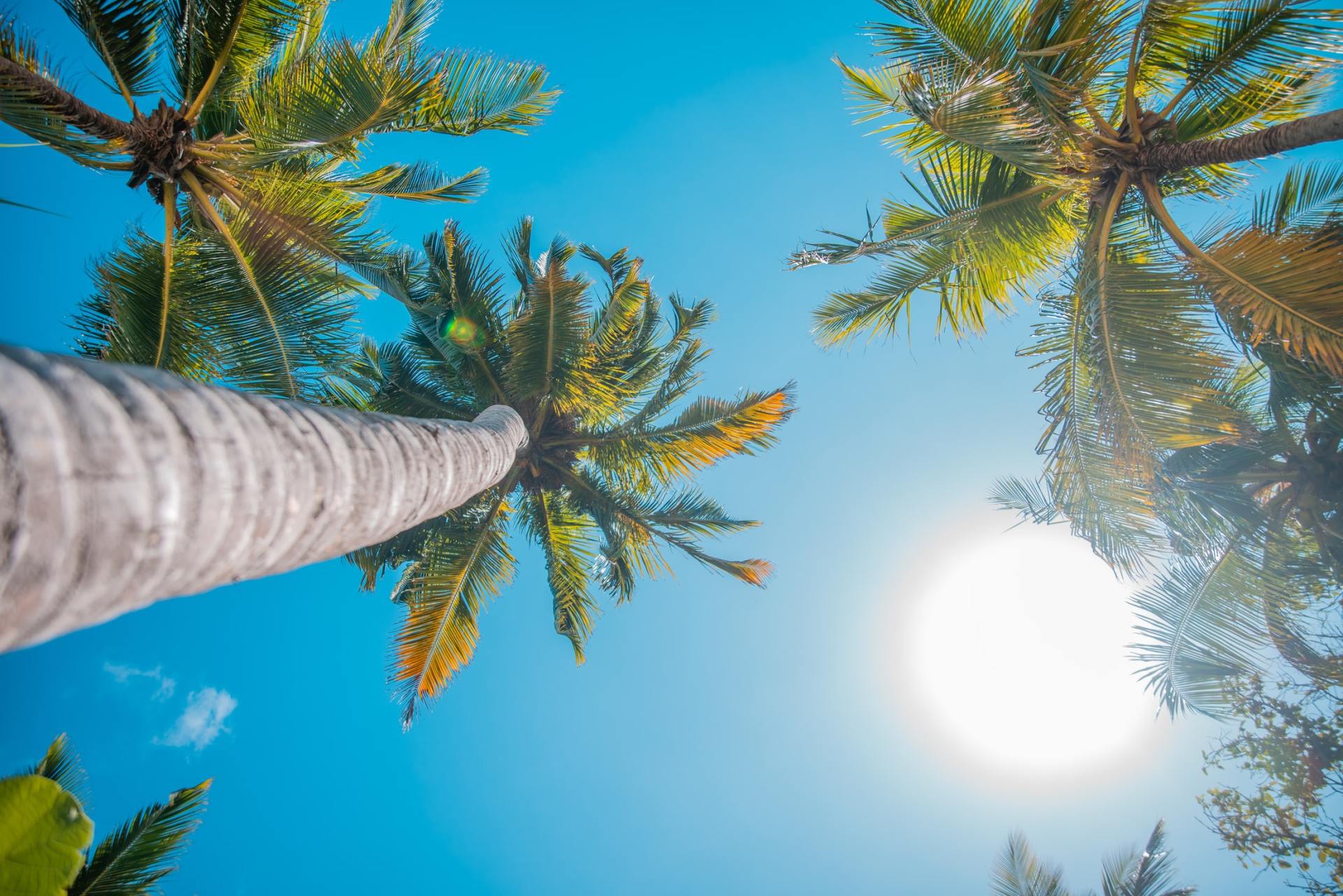 10 Top Rules to raise your standards & reach Happiness