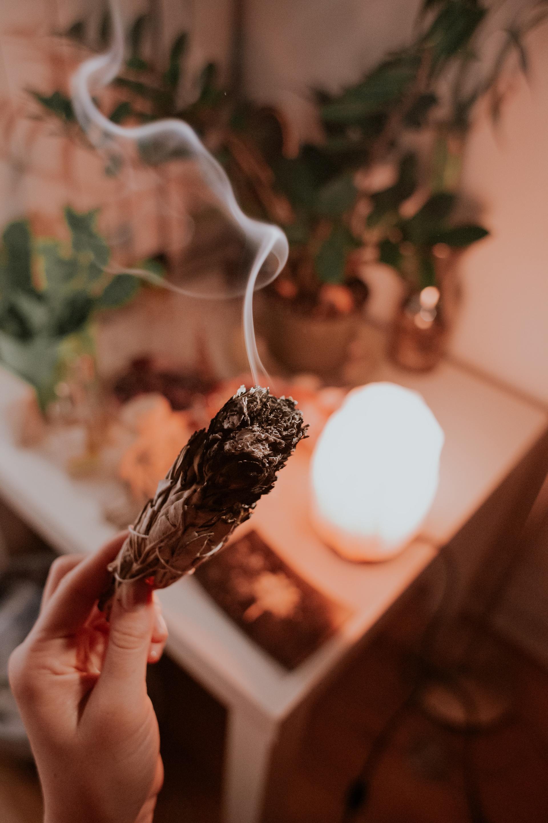 Smudge Stick, White Sage