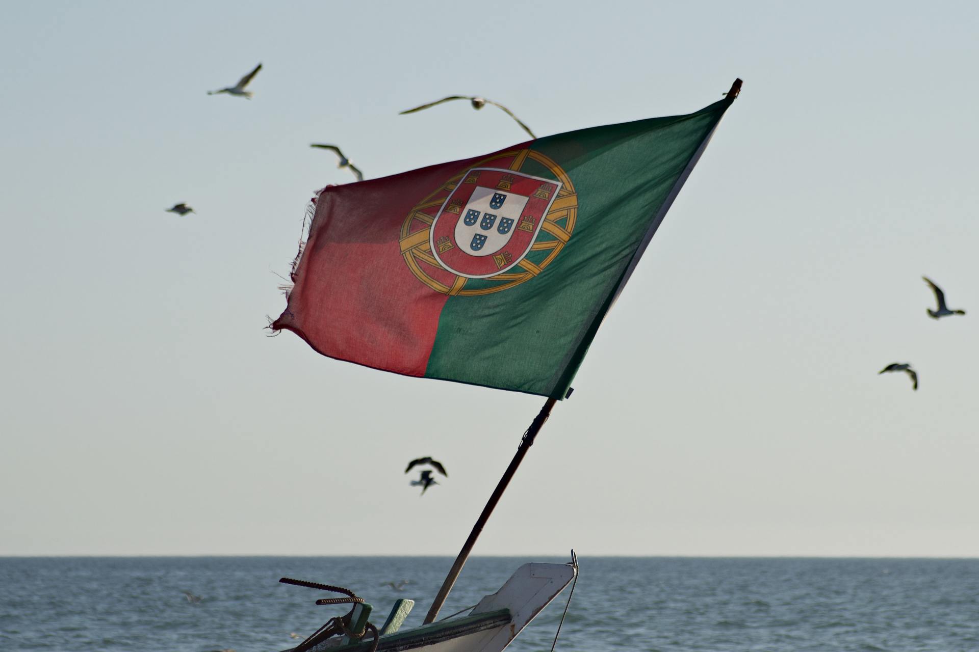 Uma bandeira portuguesa está voando ao vento