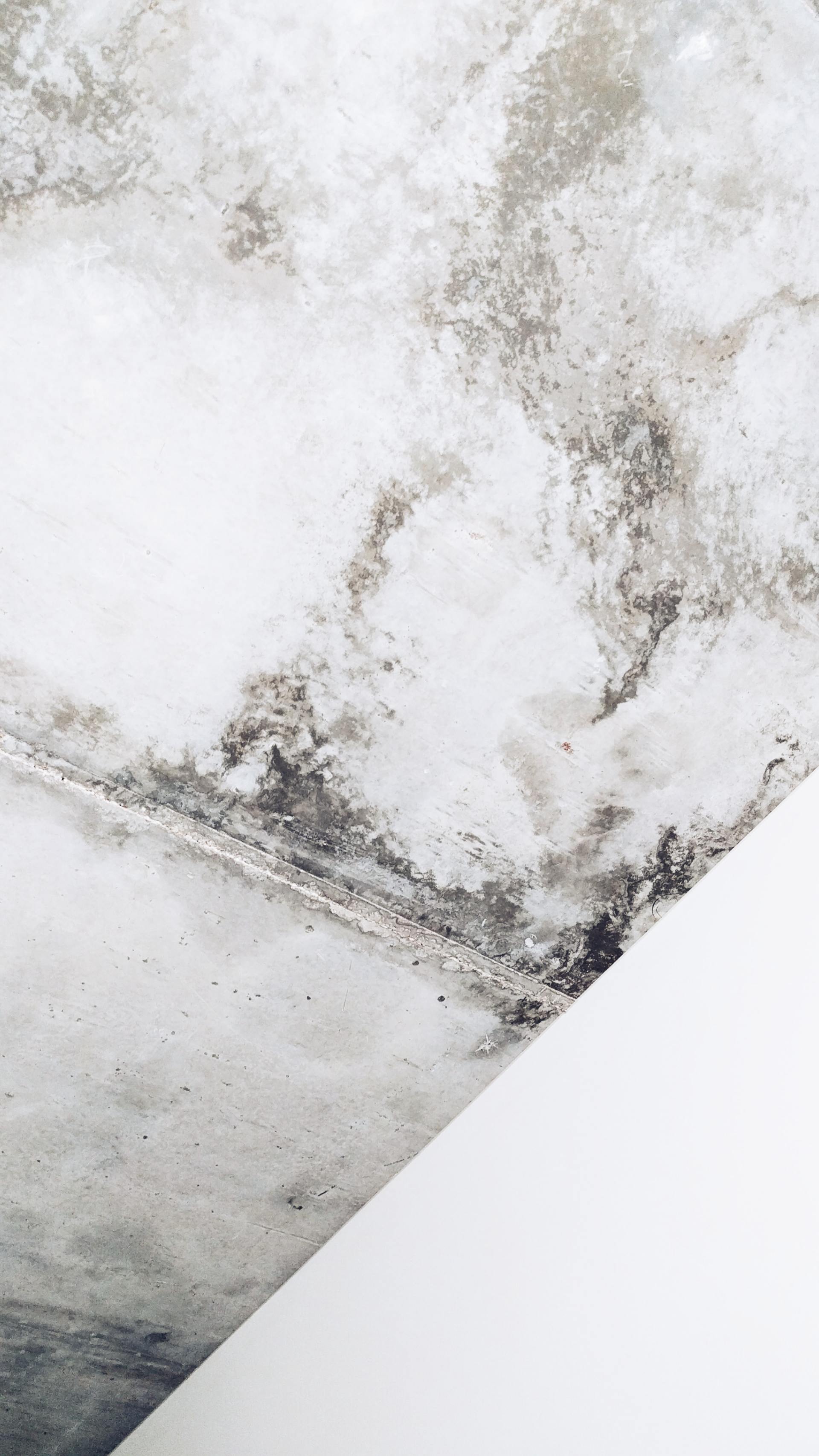 Signs That You Should Test for Mold