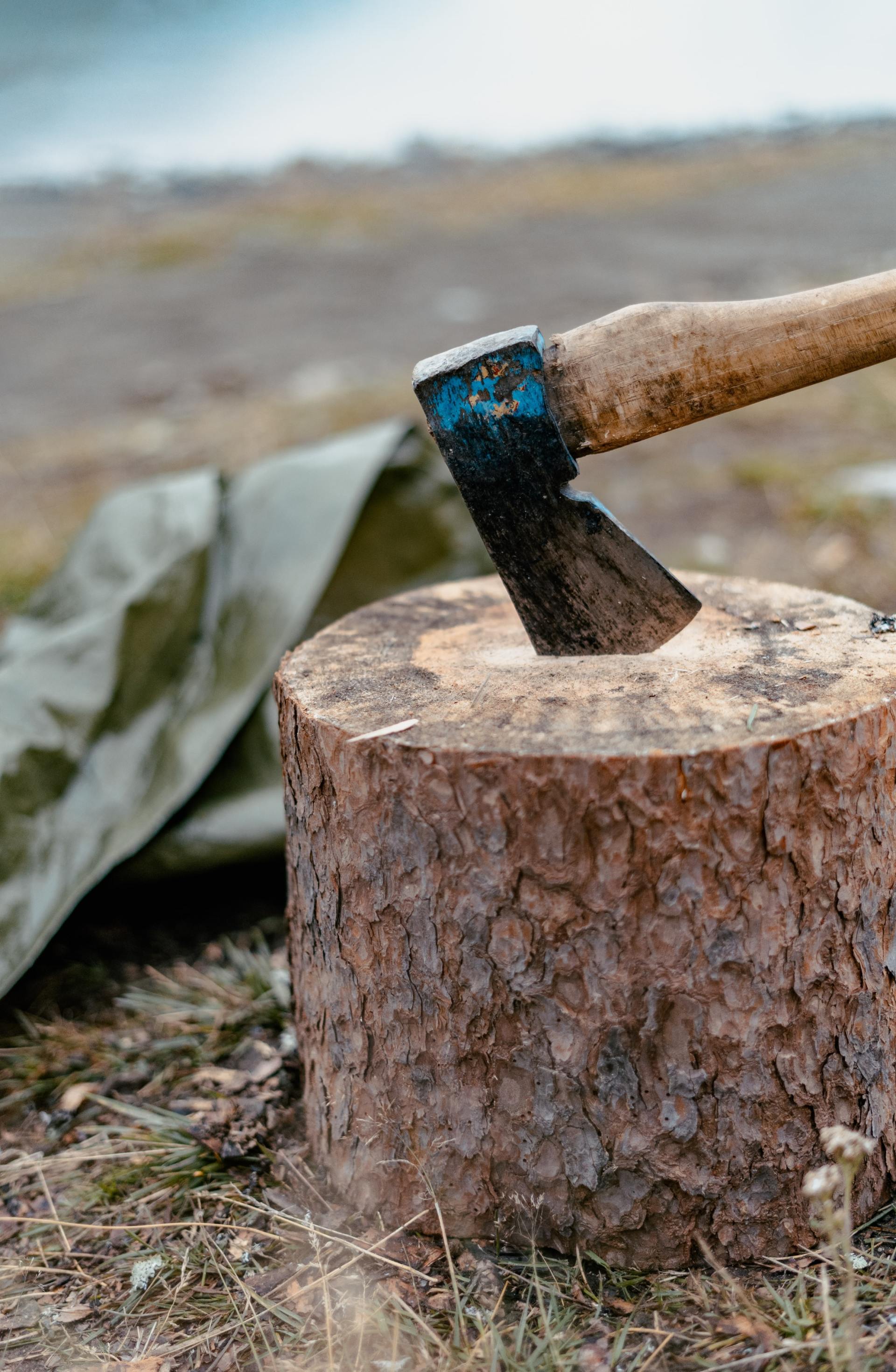 Tree logging