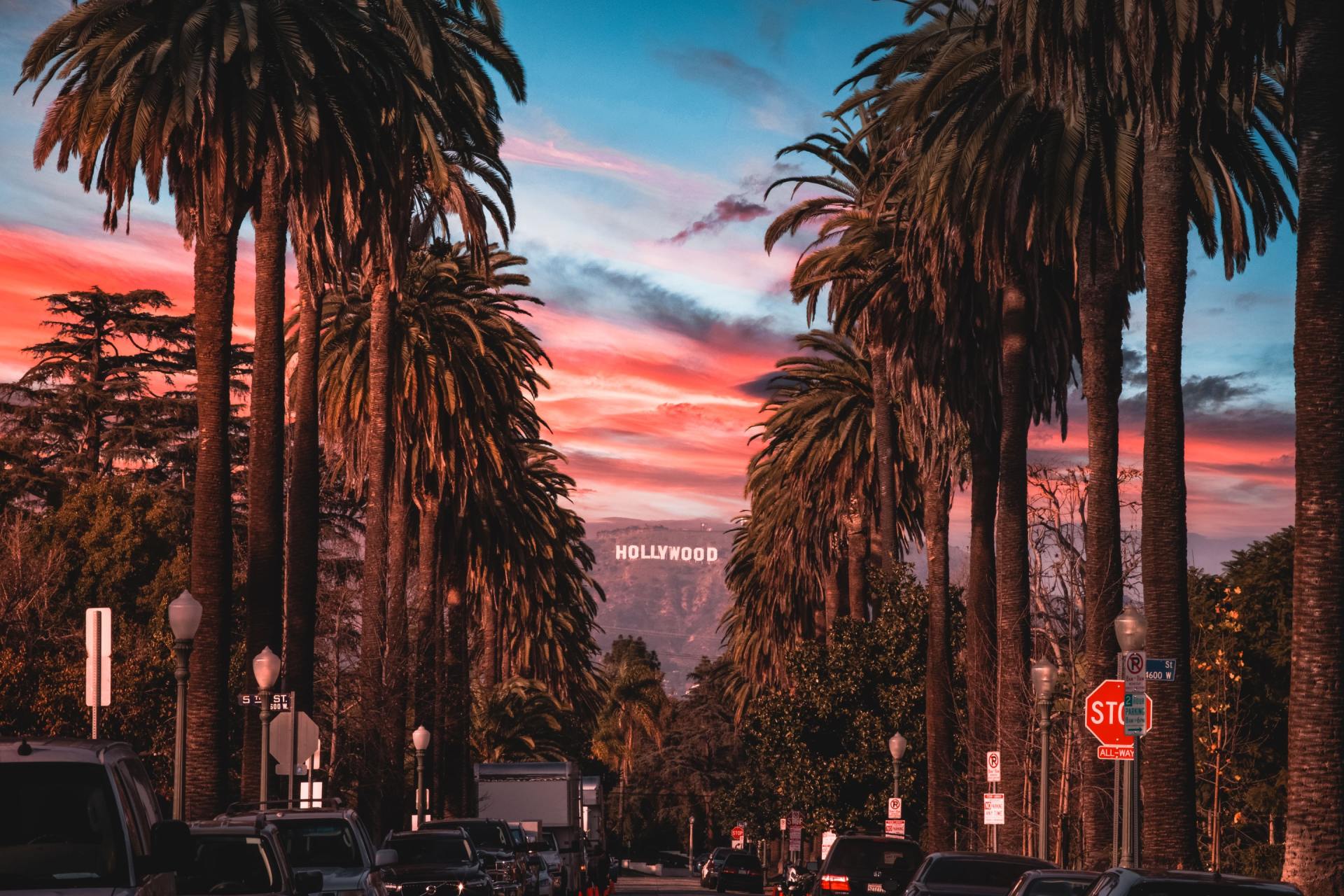hollywood street lined with palm trees