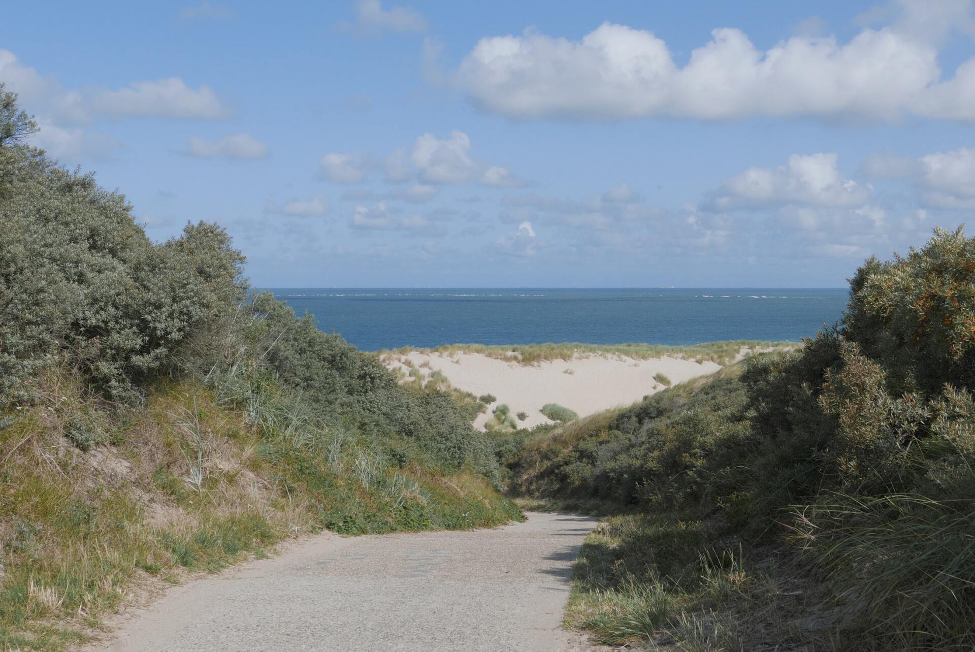 Een pad door de duinen leidt naar de oceaan onder een blauwe hemel met pluizige witte wolken.