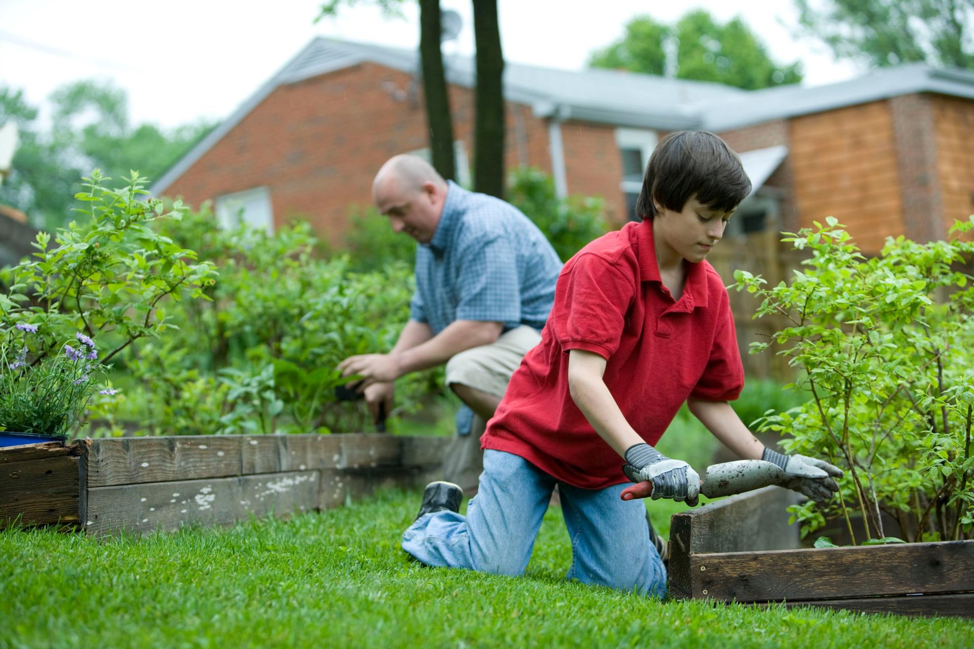 A man and a boy are working in a garden