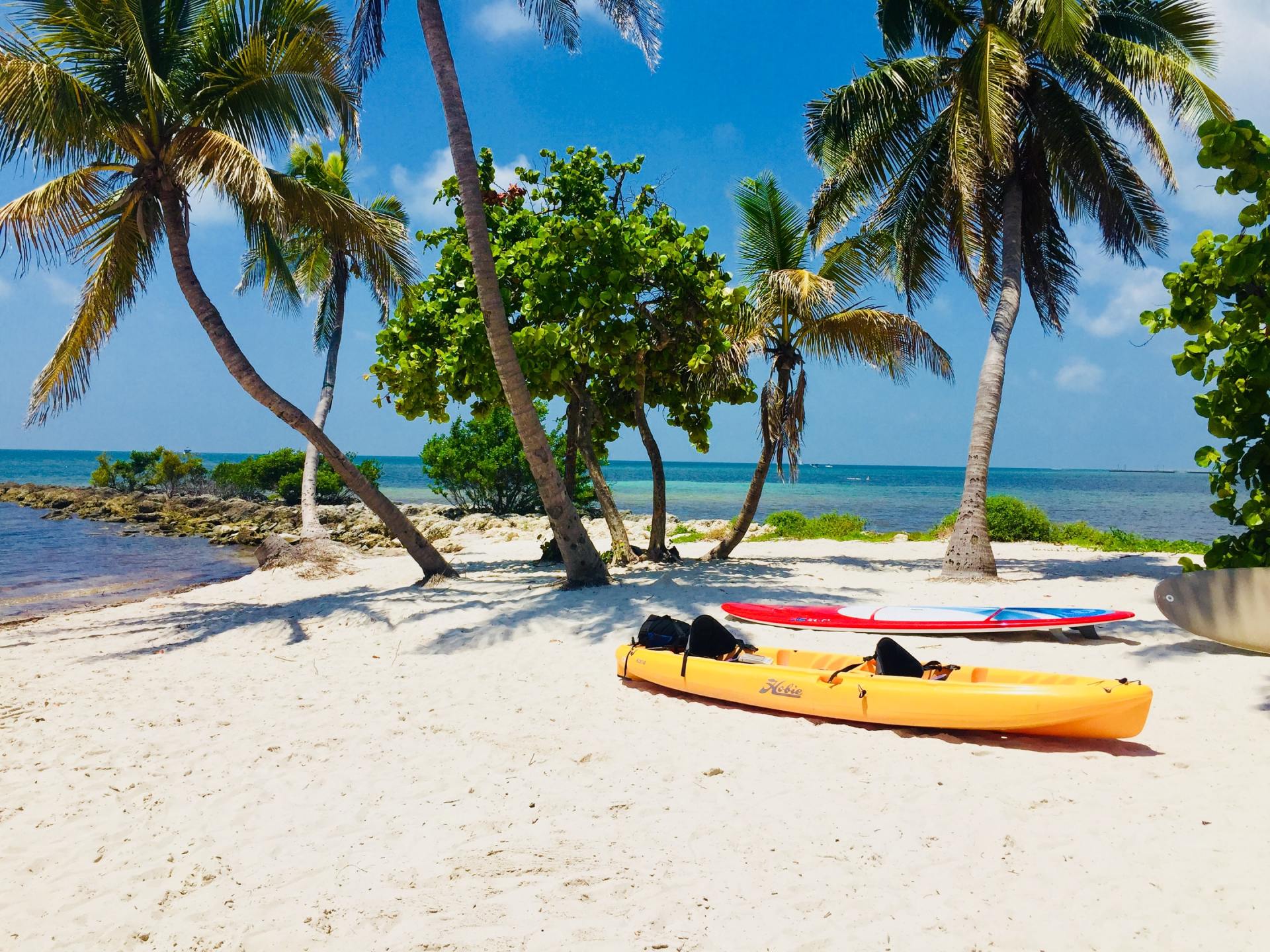 Beach with palm trees, kayaks on sand, blue water and sky.