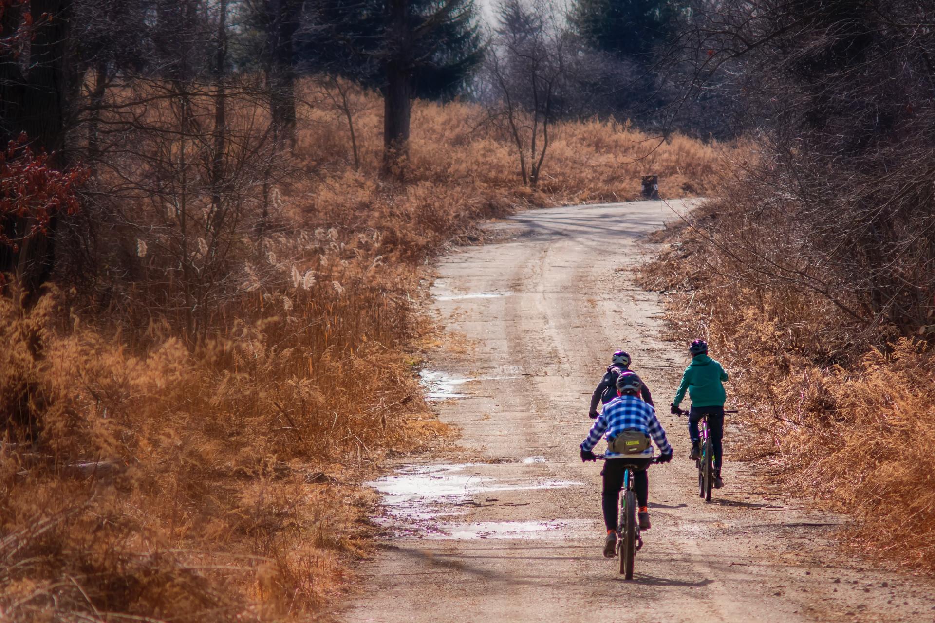 A group of people are riding bikes down a dirt road.