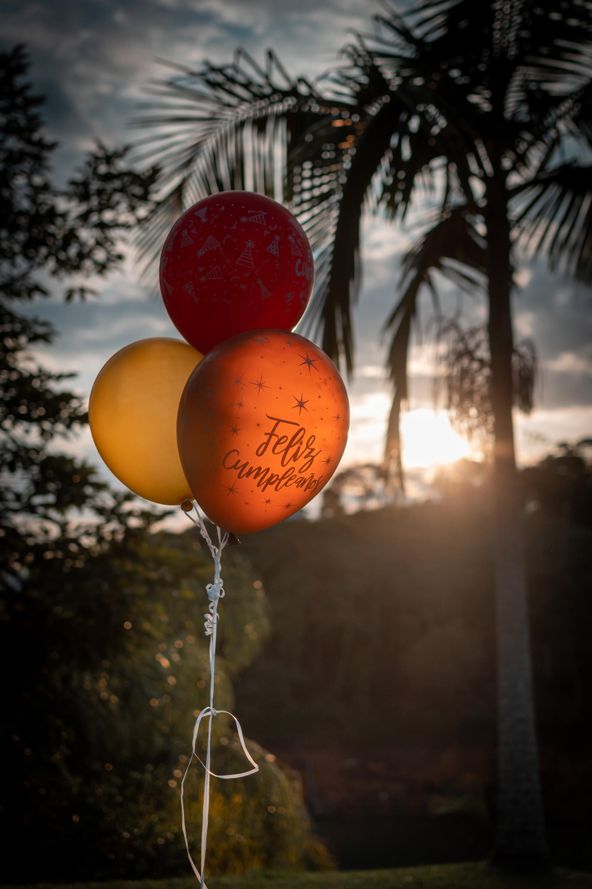 Three balloons are hanging from a string in front of a palm tree.
