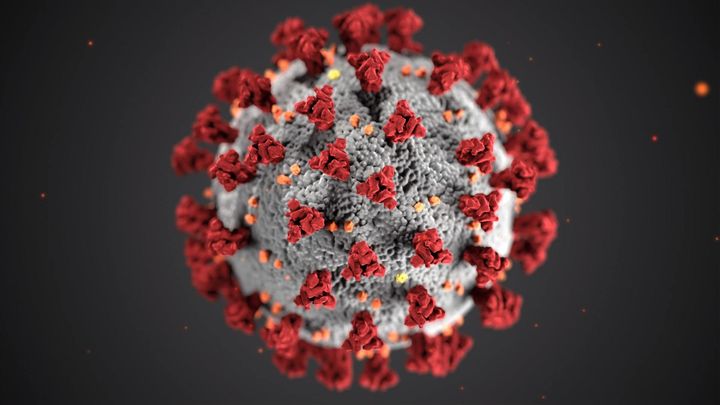 Covid-19 Coronavirus One to One Face to Face Home Tuition Online or In Person GCSE IGCSE Kent Test Medway Test 11+ Convenience Maidstone Sittingbourne Rainham Gillingham Chatham Rochester Strood Faversham Snodland Leybourne Larkfield West Malling Kings Hill Maths English Biology Chemistry Physics Science Business Studies